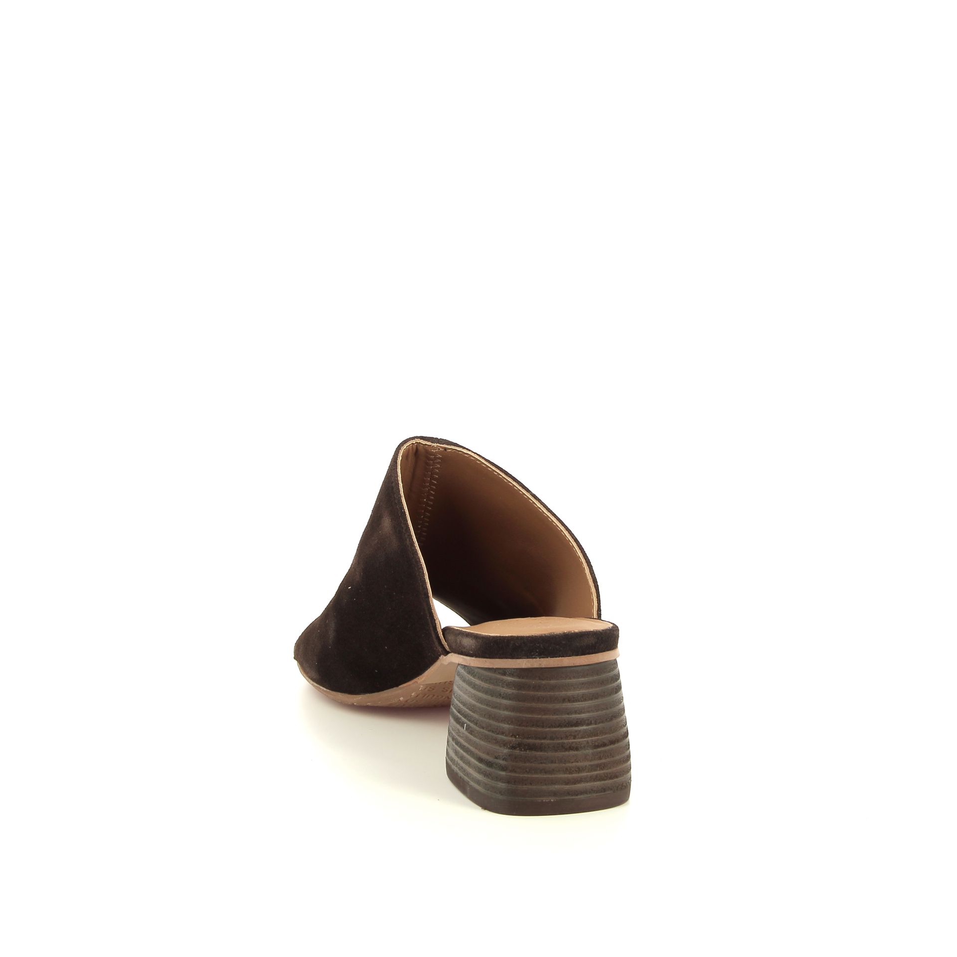 Angulus Muiltje 263751 bruin