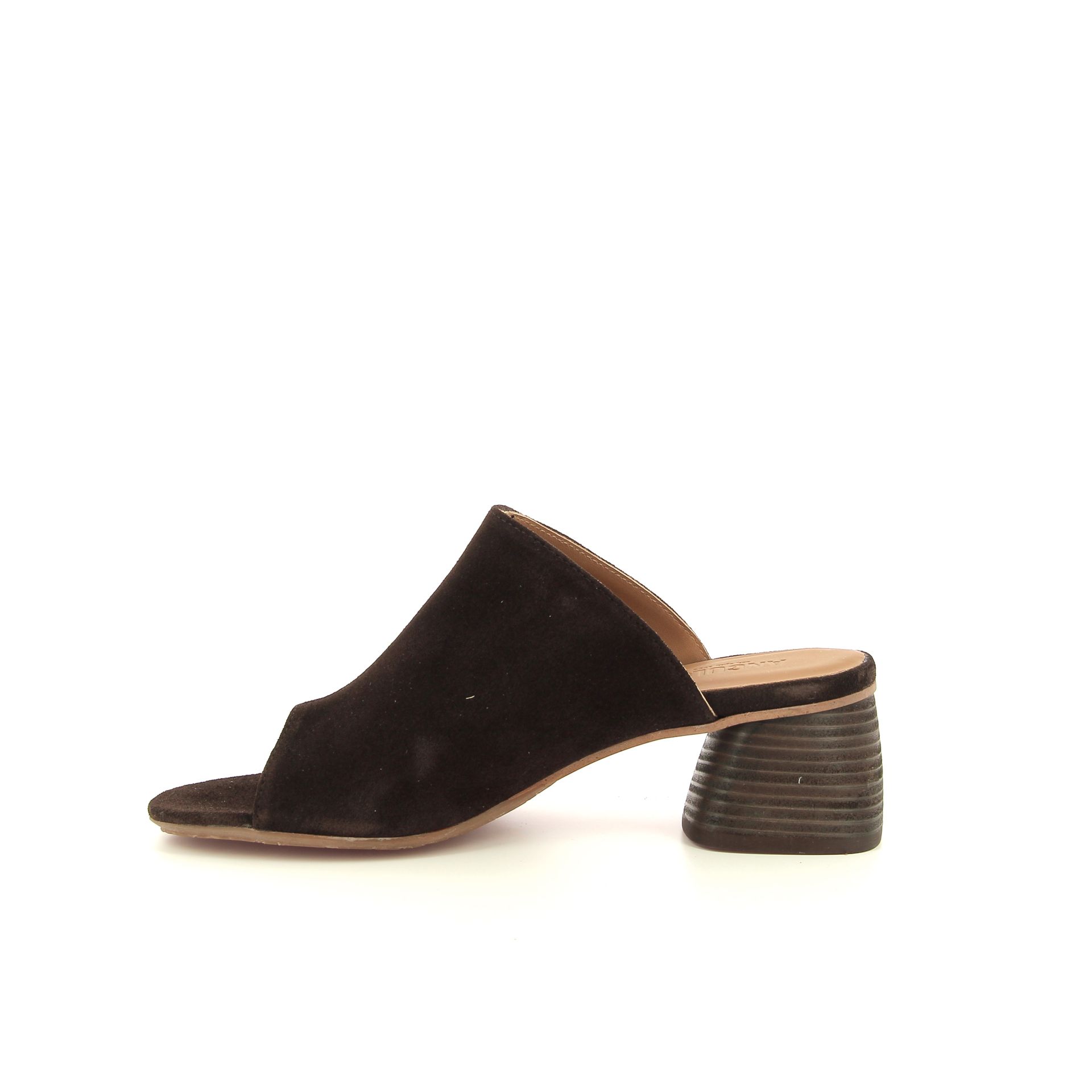 Angulus Muiltje 263751 bruin