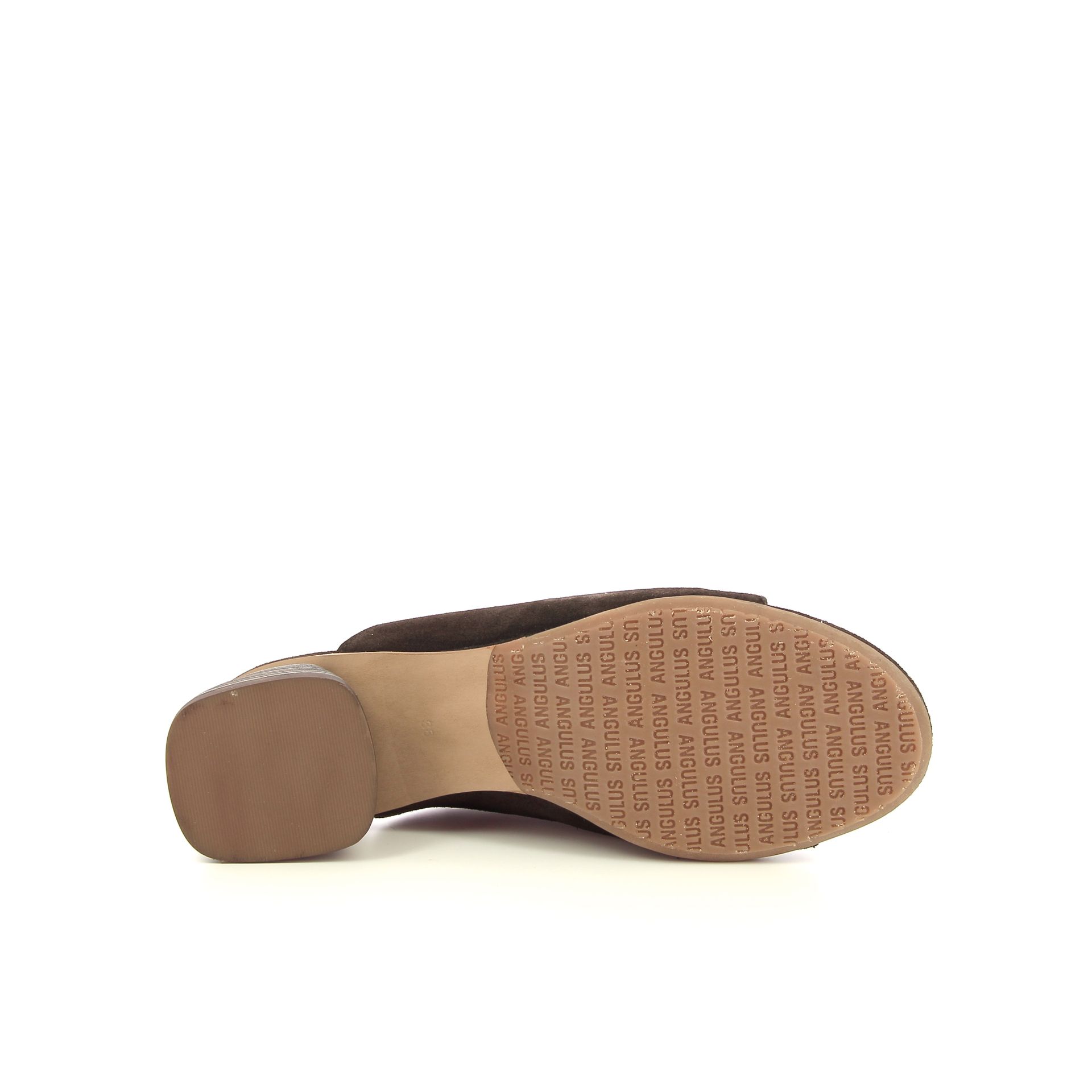 Angulus Muiltje 263751 bruin