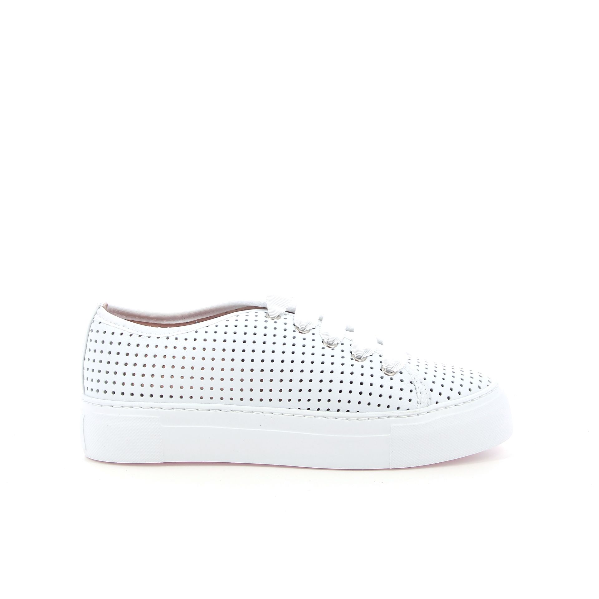 Agl Dakota 263815 wit