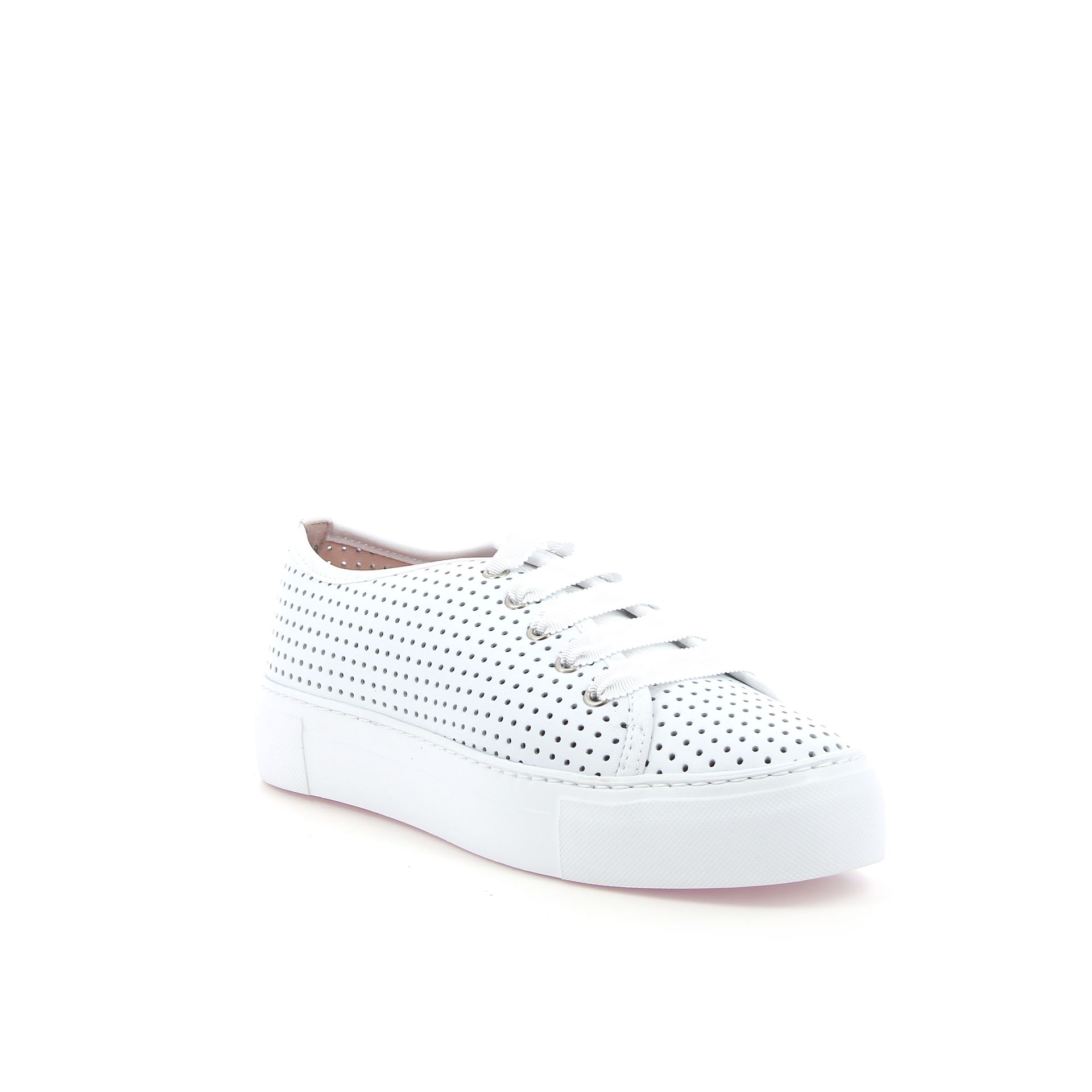 Agl Dakota 263815 wit