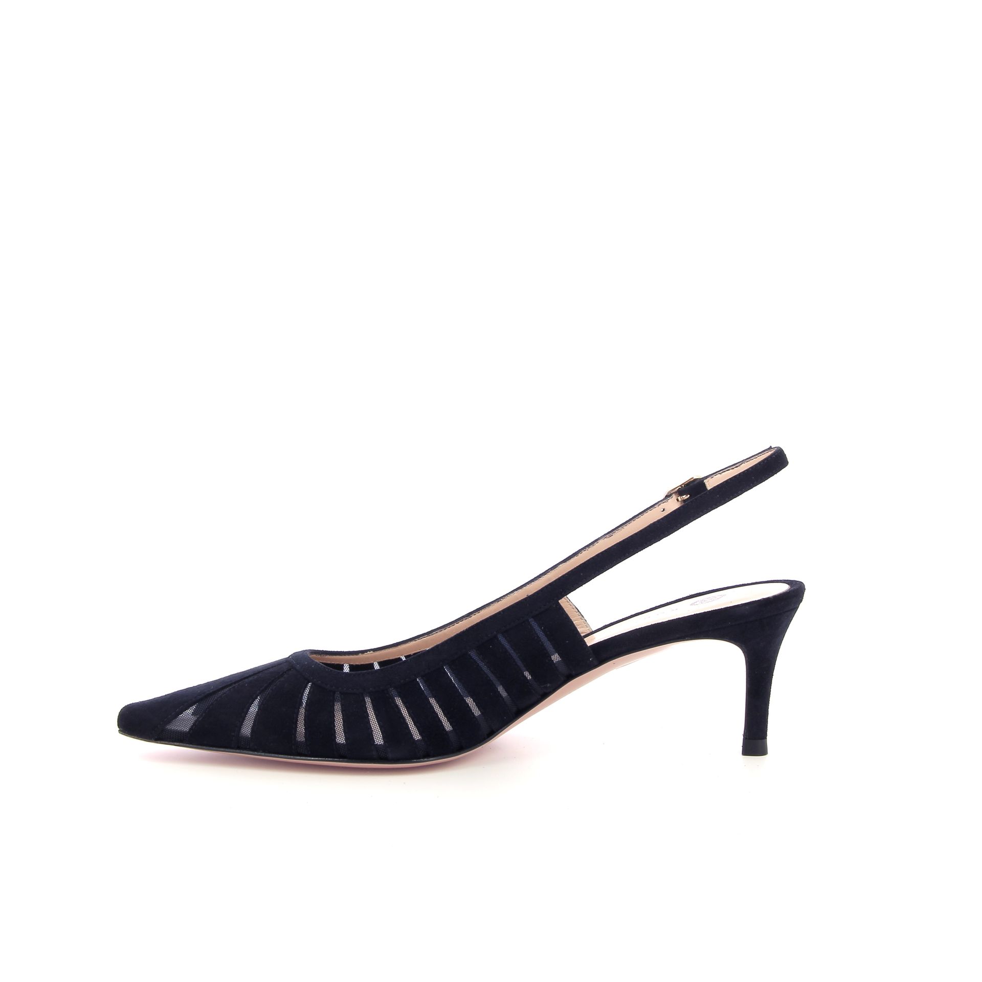 Roberto Festa Fenice 263841 blauw