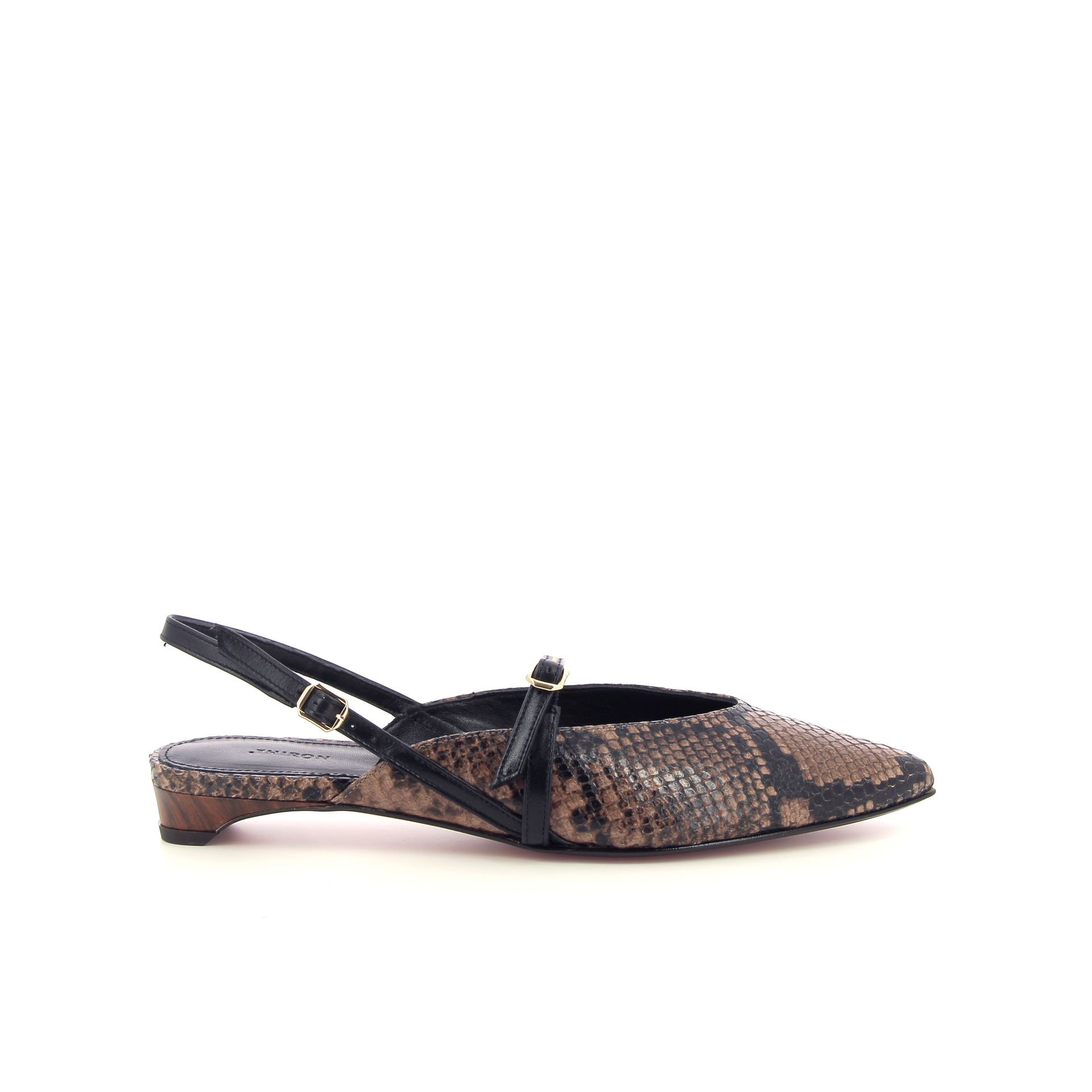 Thiron Amapa 263944 bruin