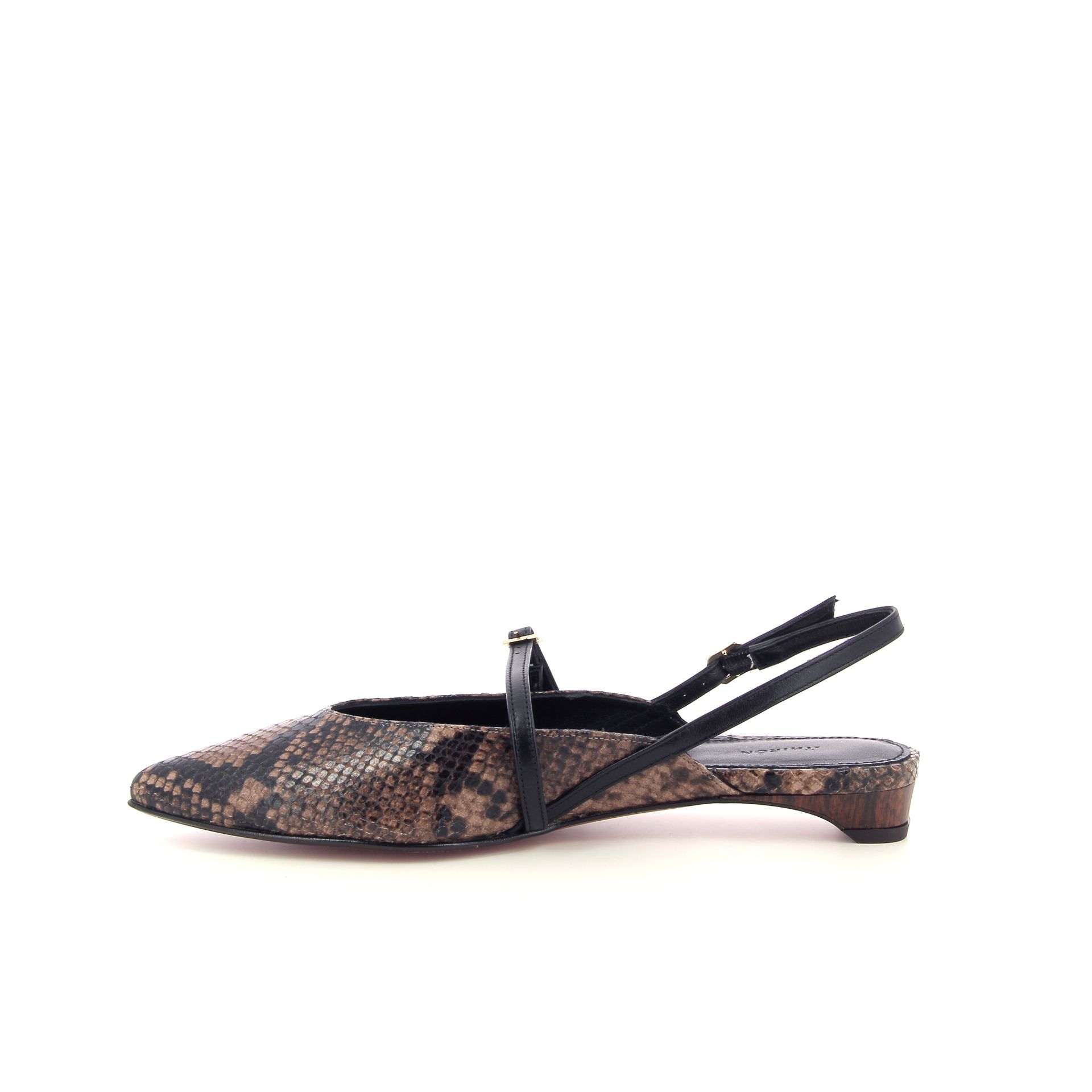 Thiron Amapa 263944 bruin