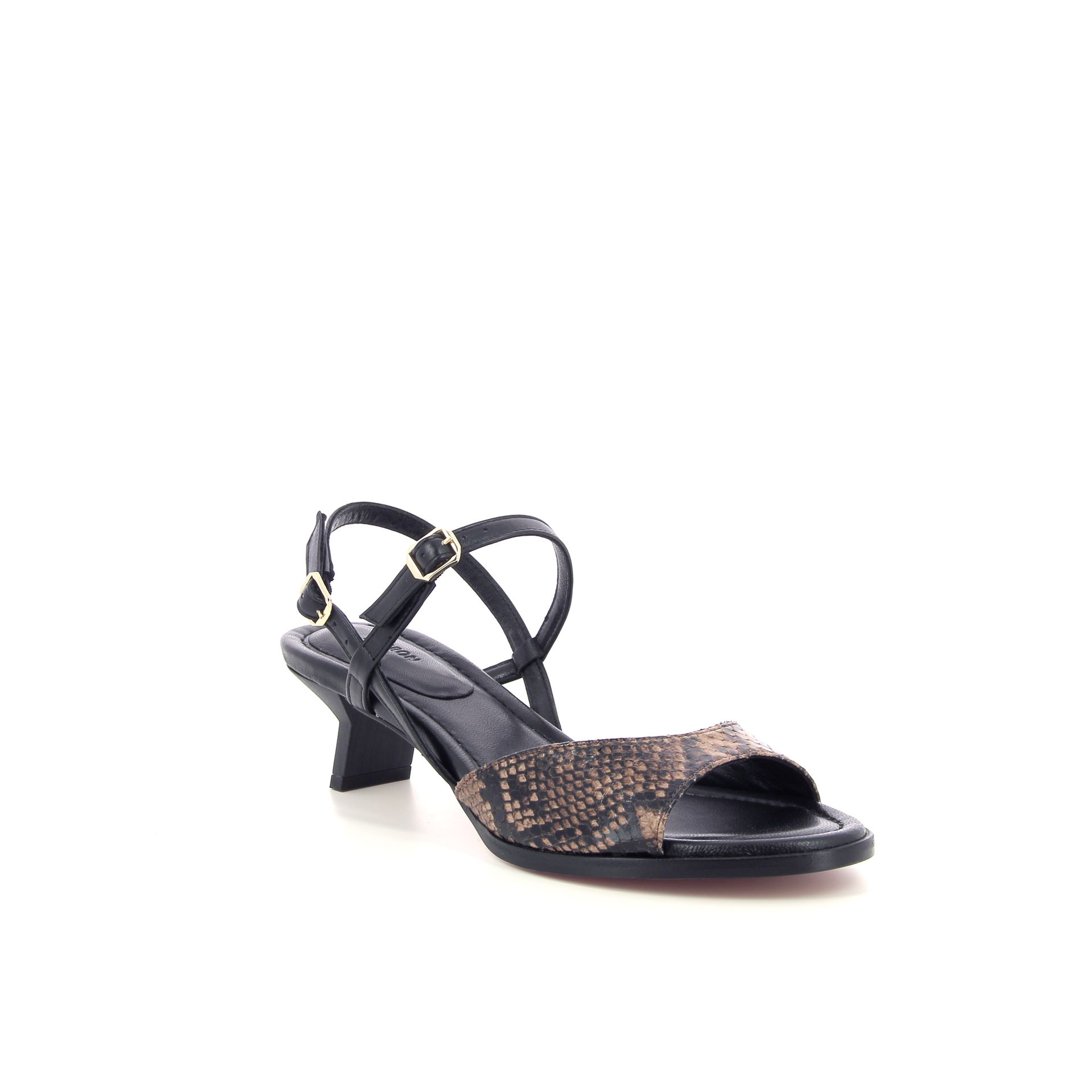 Thiron Evora 263945 bruin