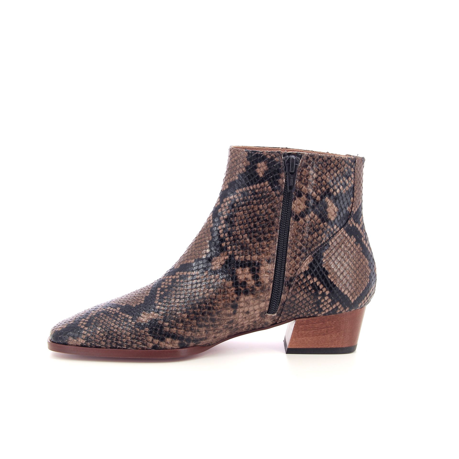 Thiron Isernia 263948 bruin