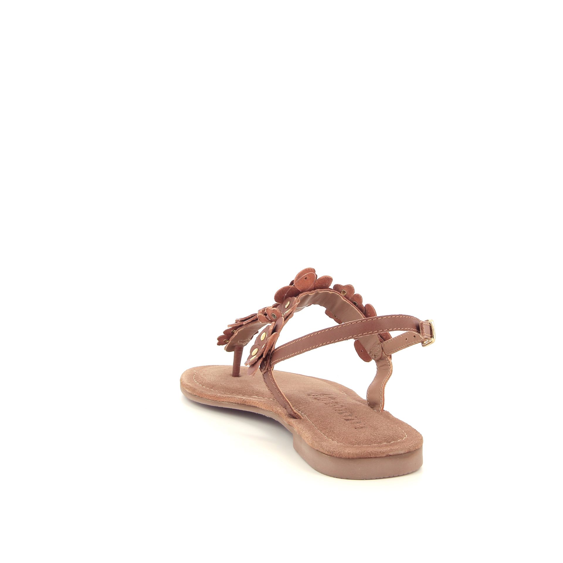 Lazamani Luz 263949 cognac