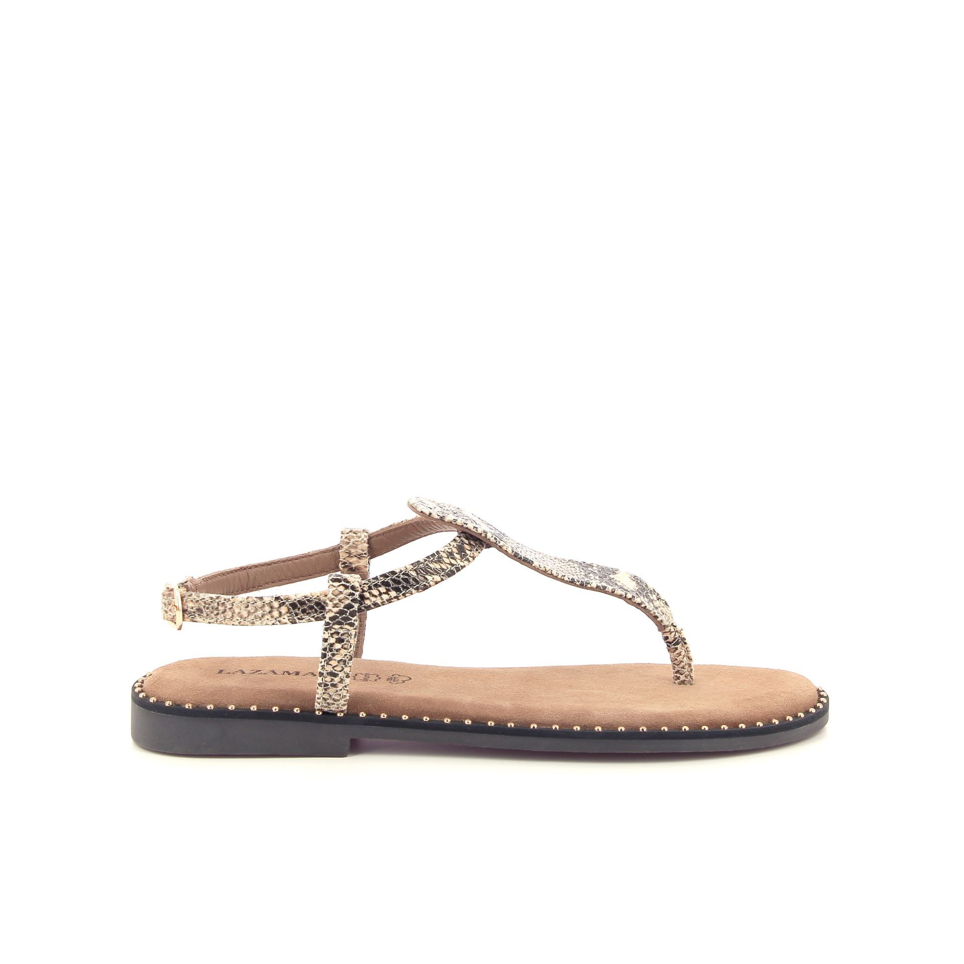 Lazamani Anna 263952 bruin