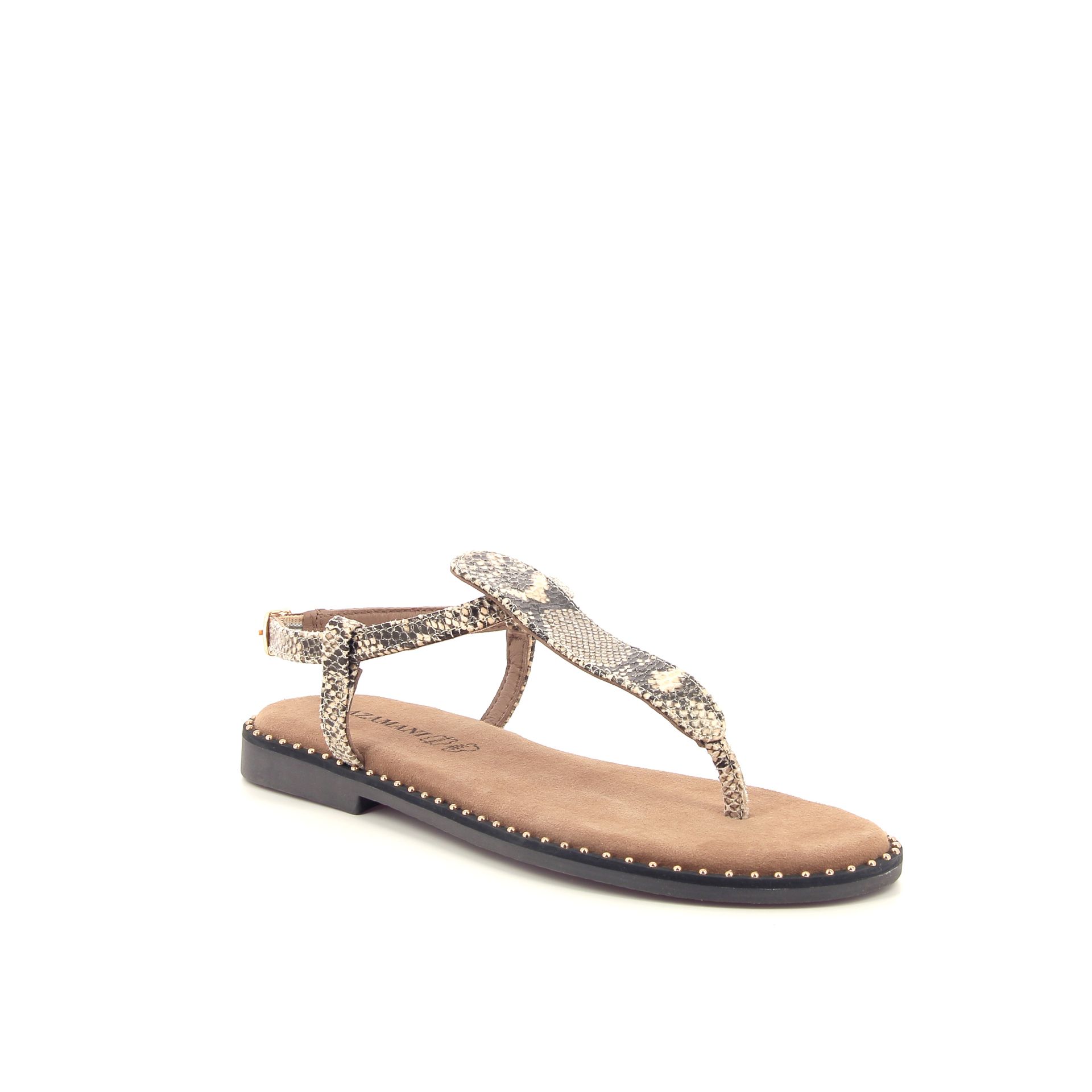 Lazamani Anna 263952 bruin