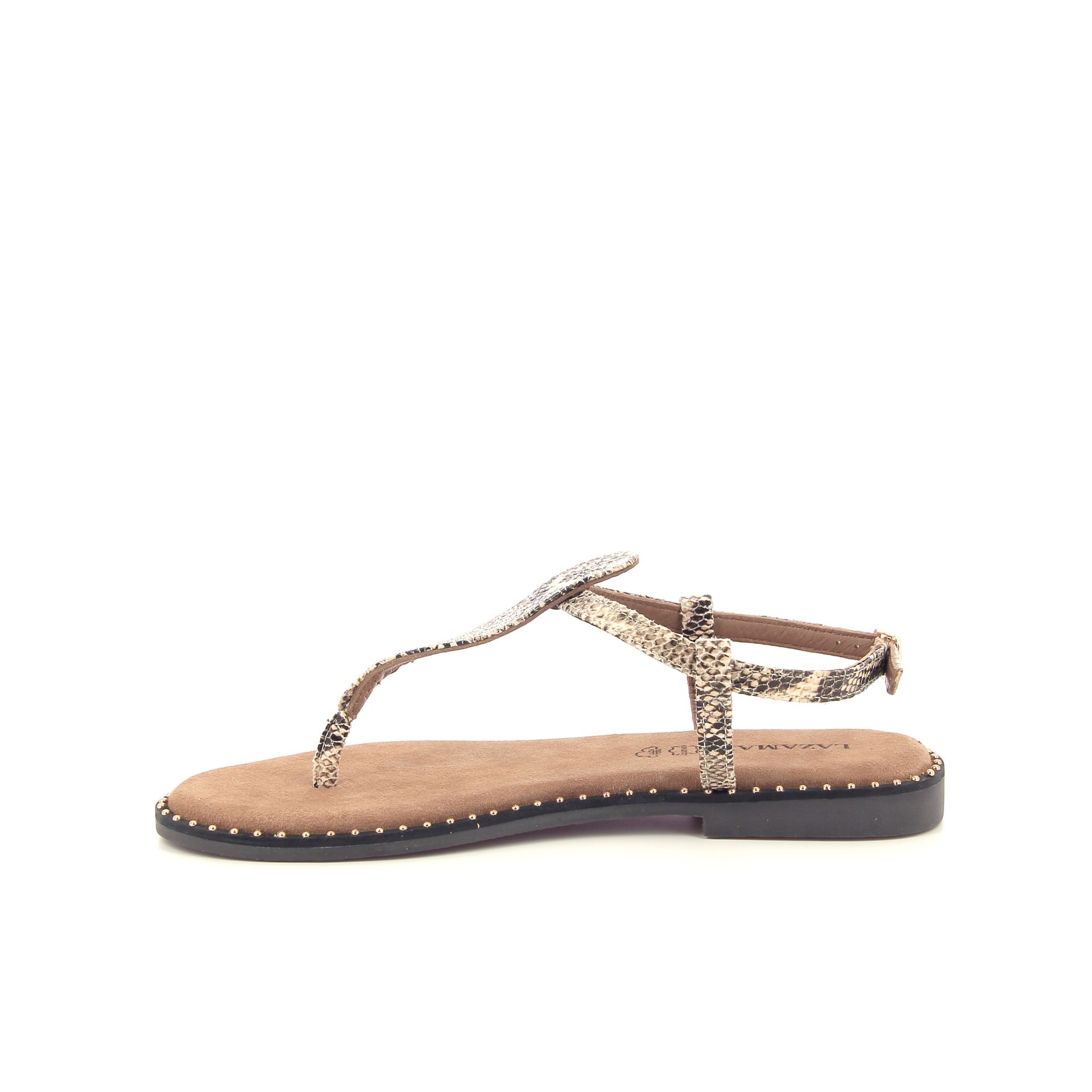 Lazamani Anna 263952 bruin