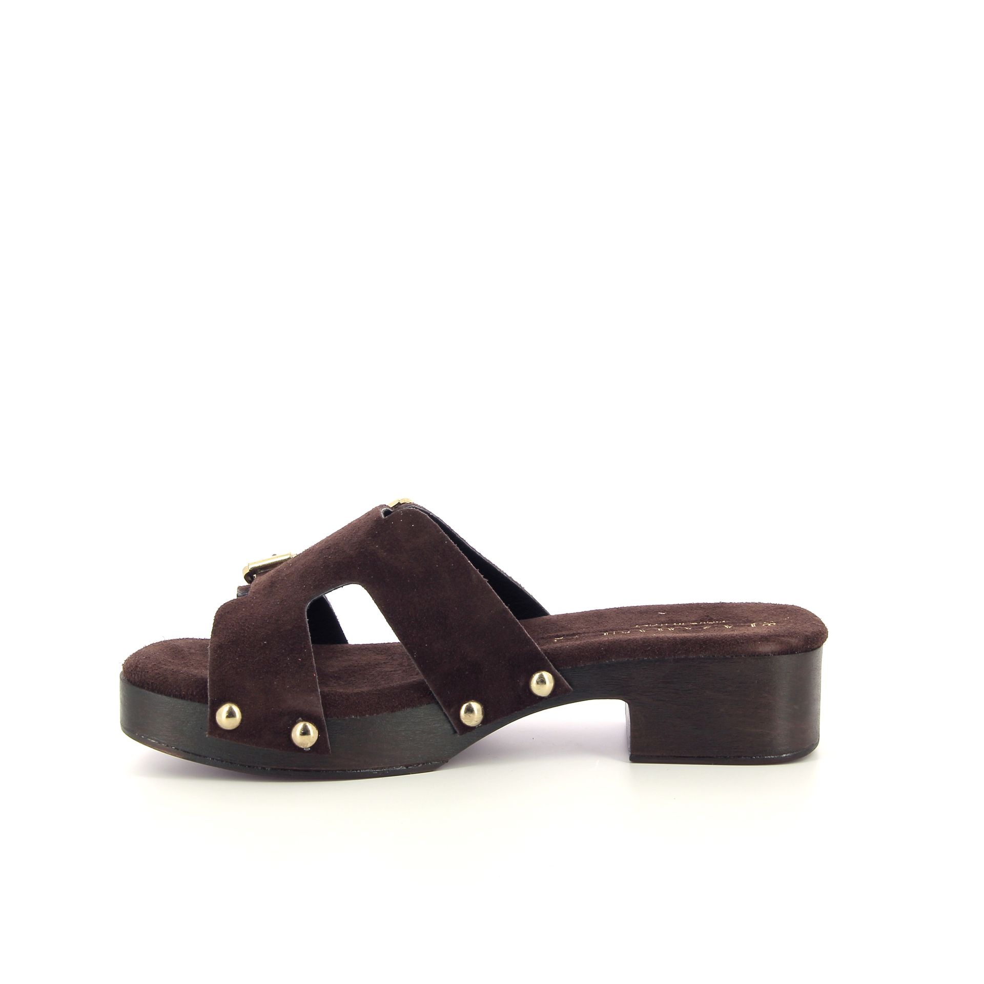 Lazamani Muiltje 263963 bruin