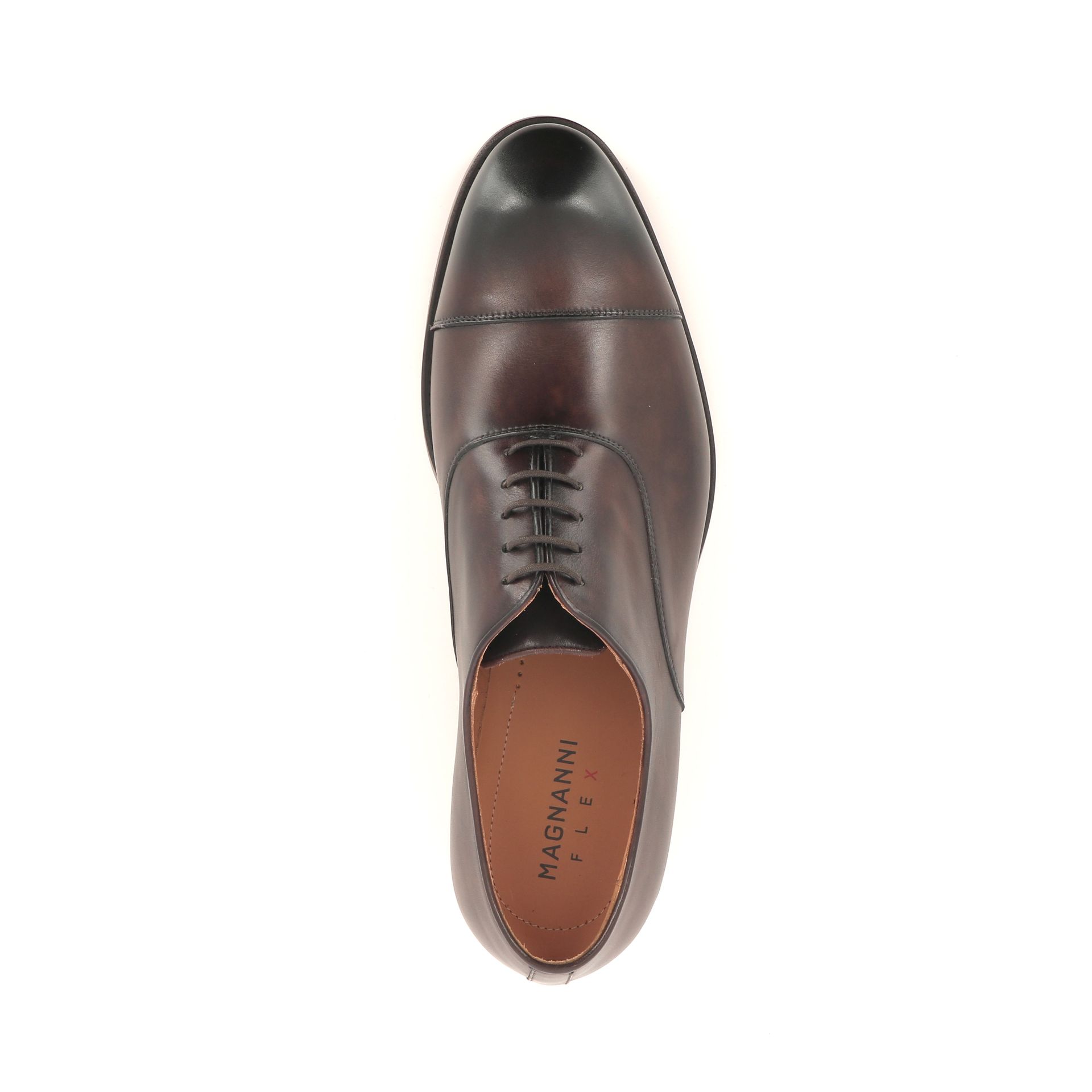 Magnanni Mayon 264055 bruin