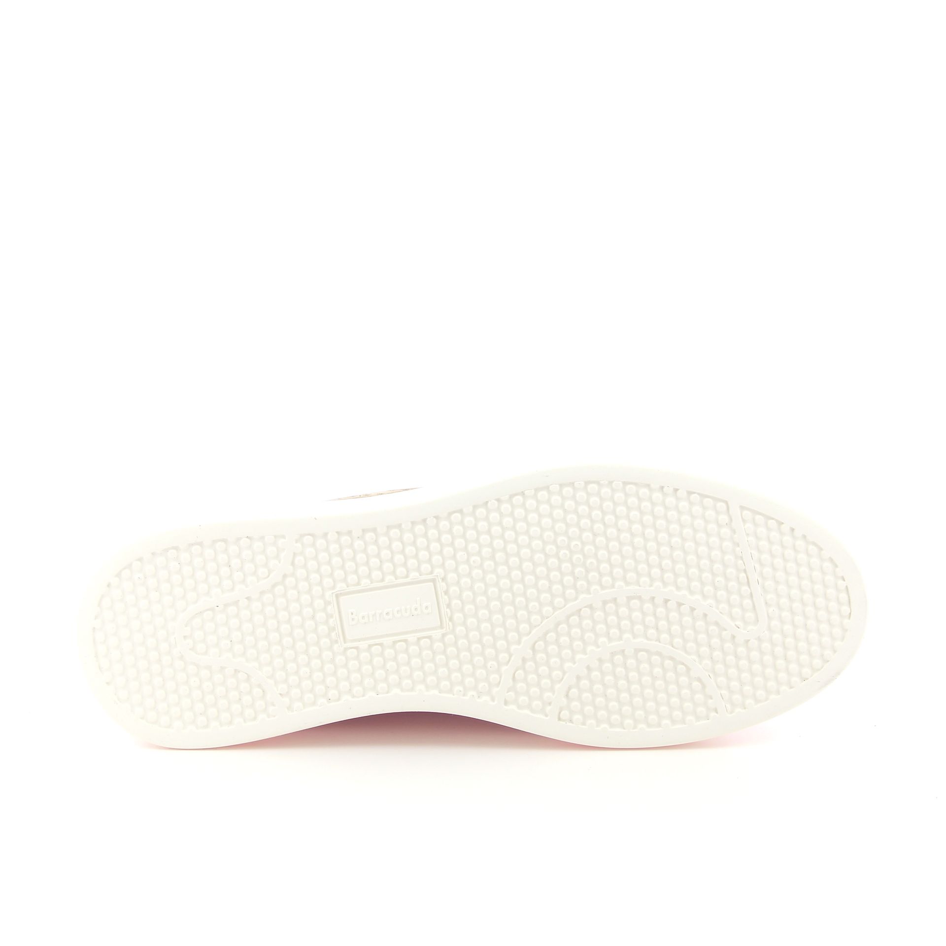 Barracuda Phoenix 264120 beige