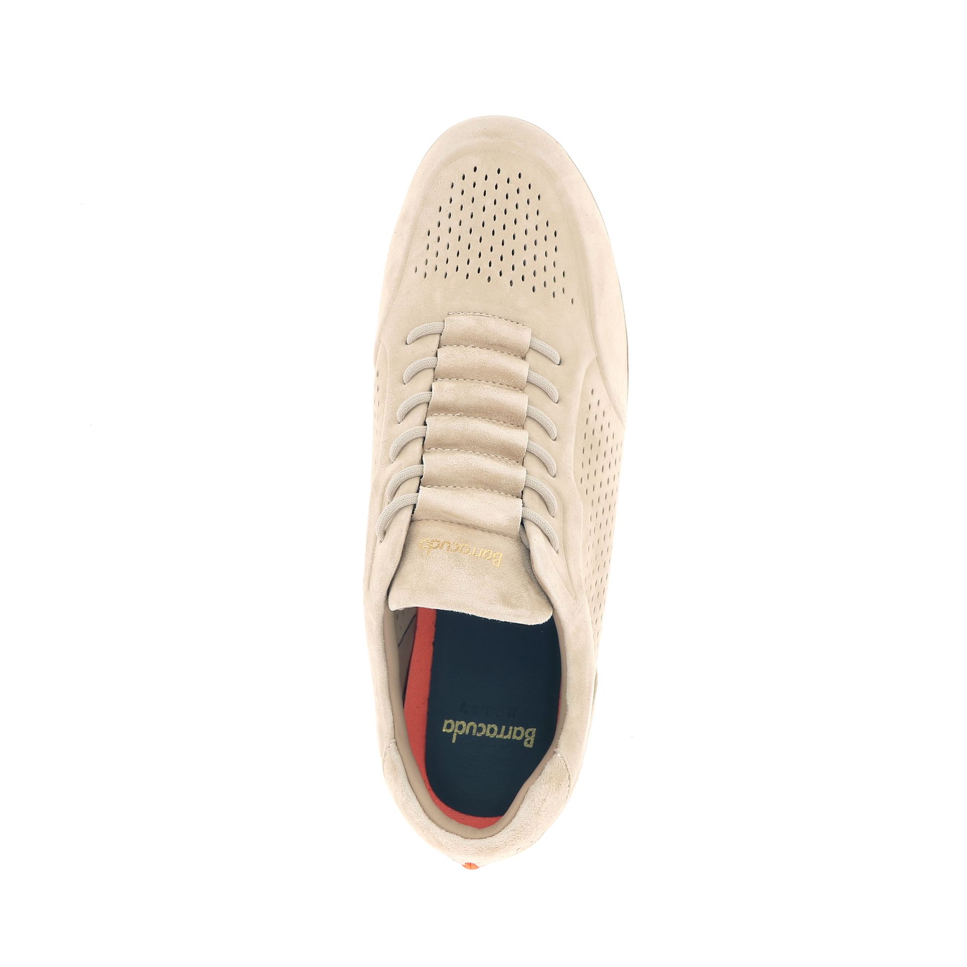 Barracuda Phoenix 264120 beige