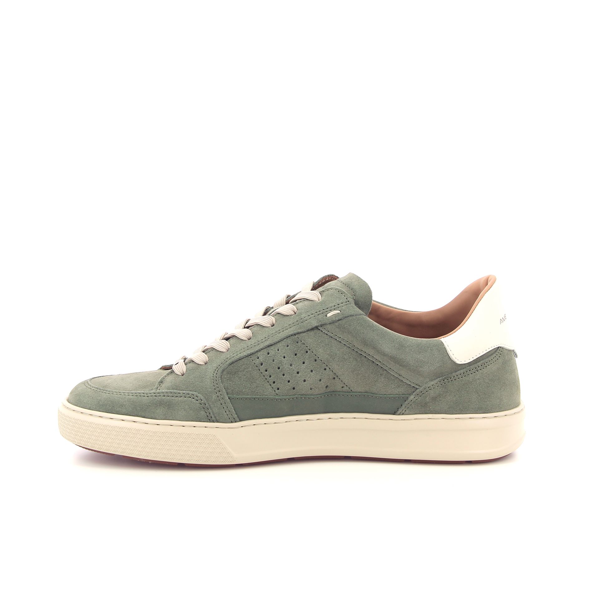 Ambitious Anapolis 264147 groen