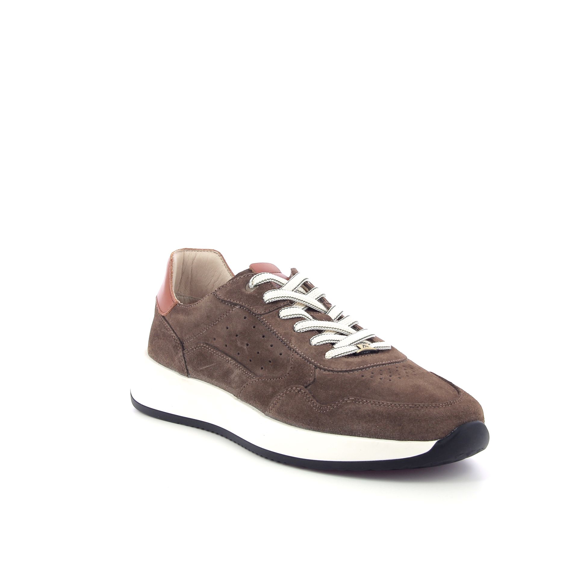 Ambitious Ronnie 264150 bruin