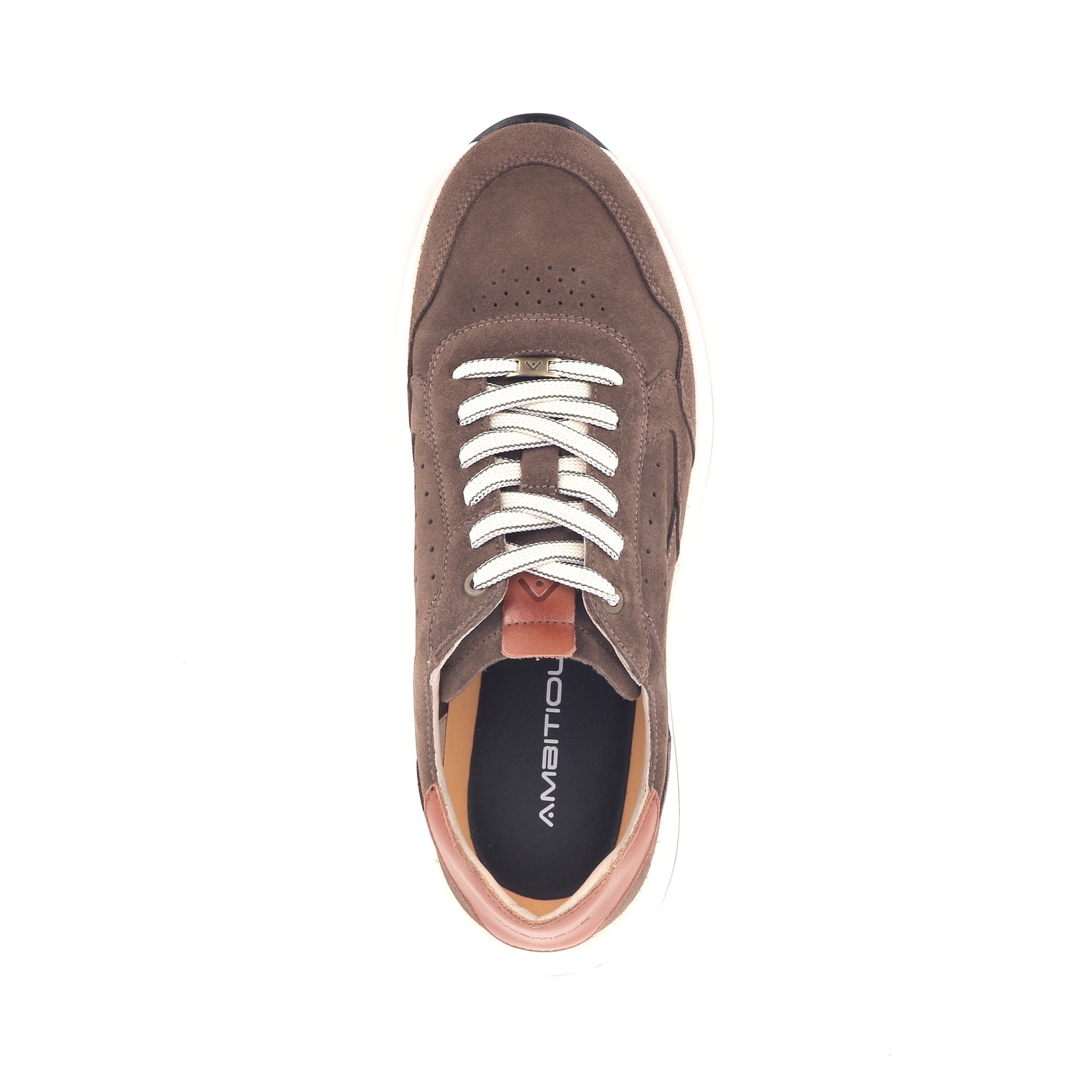 Ambitious Ronnie 264150 bruin