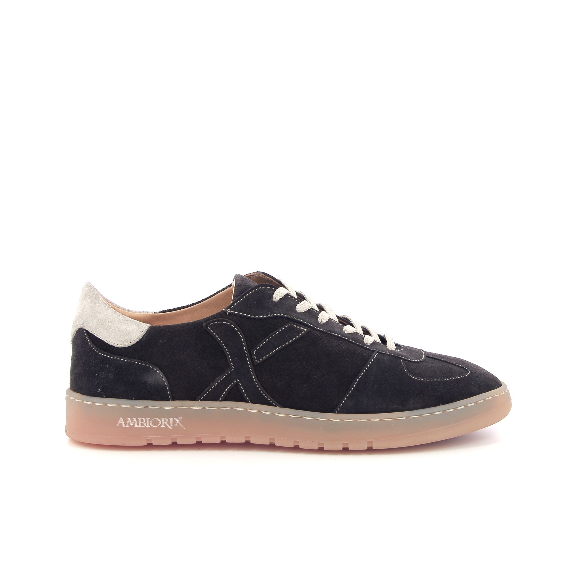 Ambiorix Rosco Africa 264163 bruin