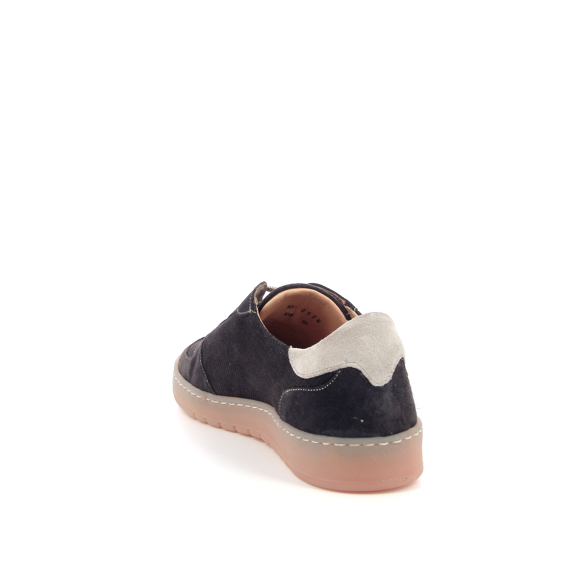 Ambiorix Rosco Africa 264163 bruin