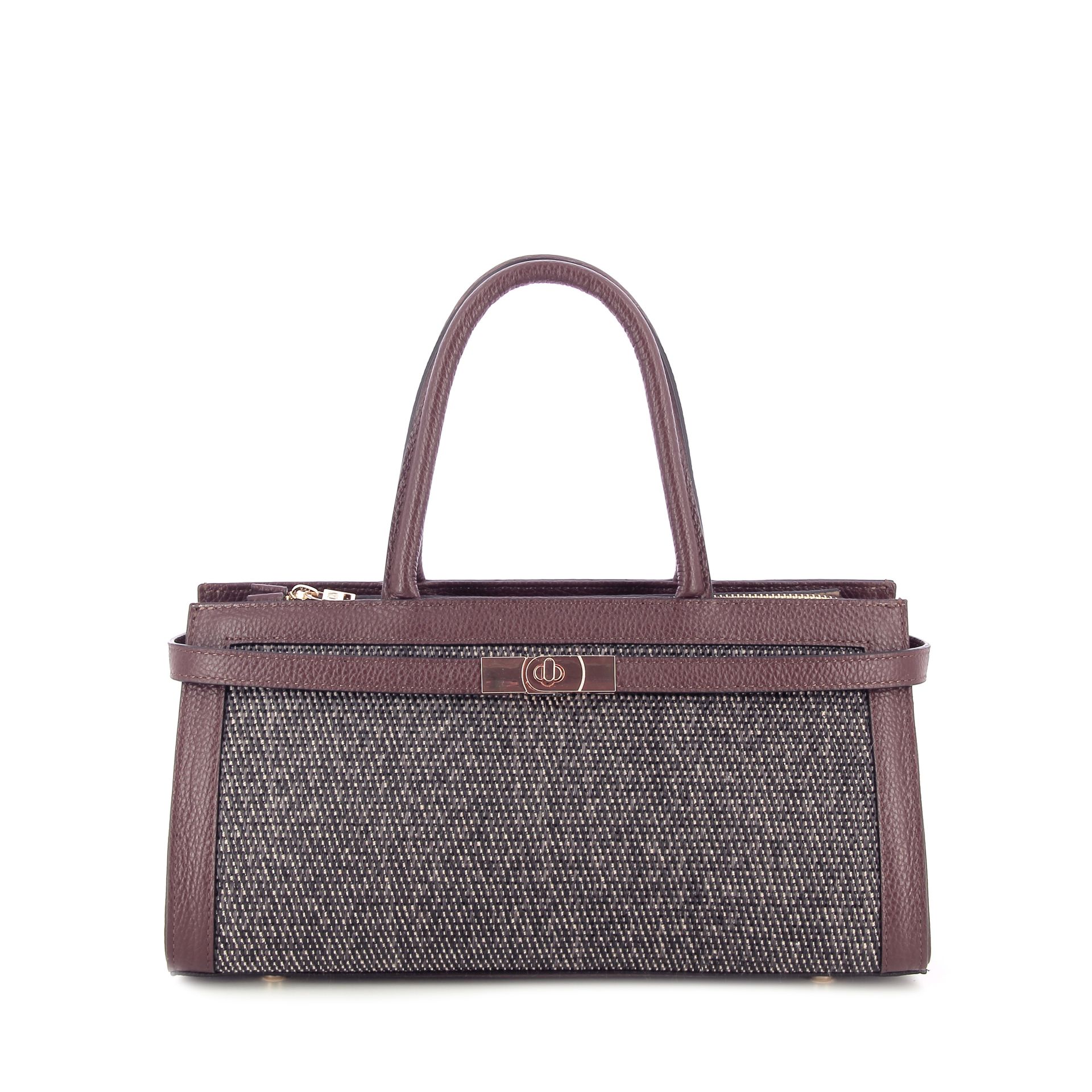 Carol J. Handtas 264886 bruin