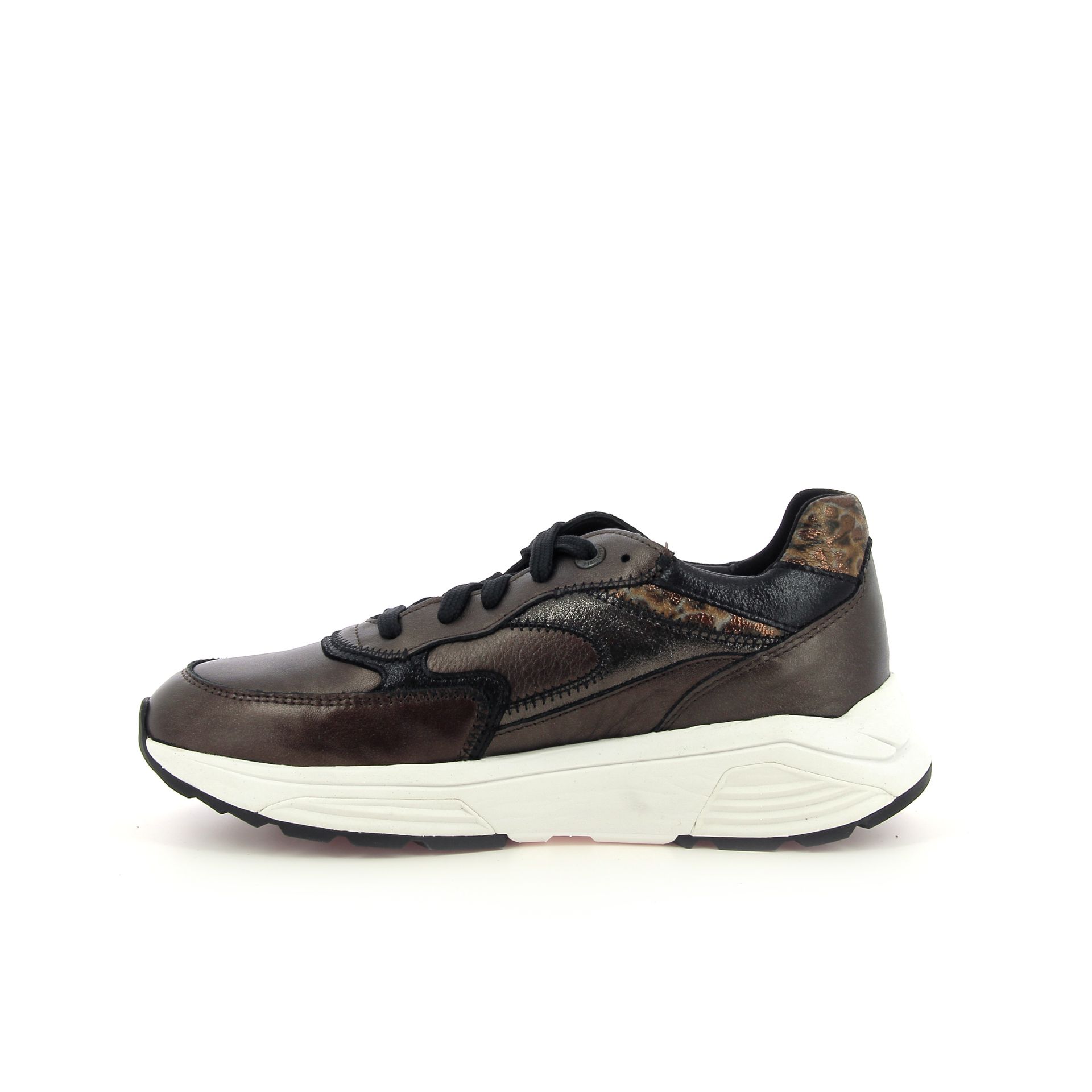 Xsensible Ponte Vecchio 265278 bruin