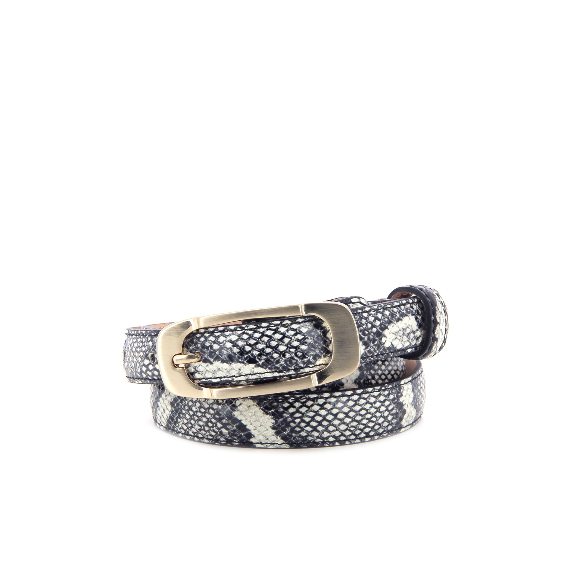 Vain Thin Belt 265287 beige