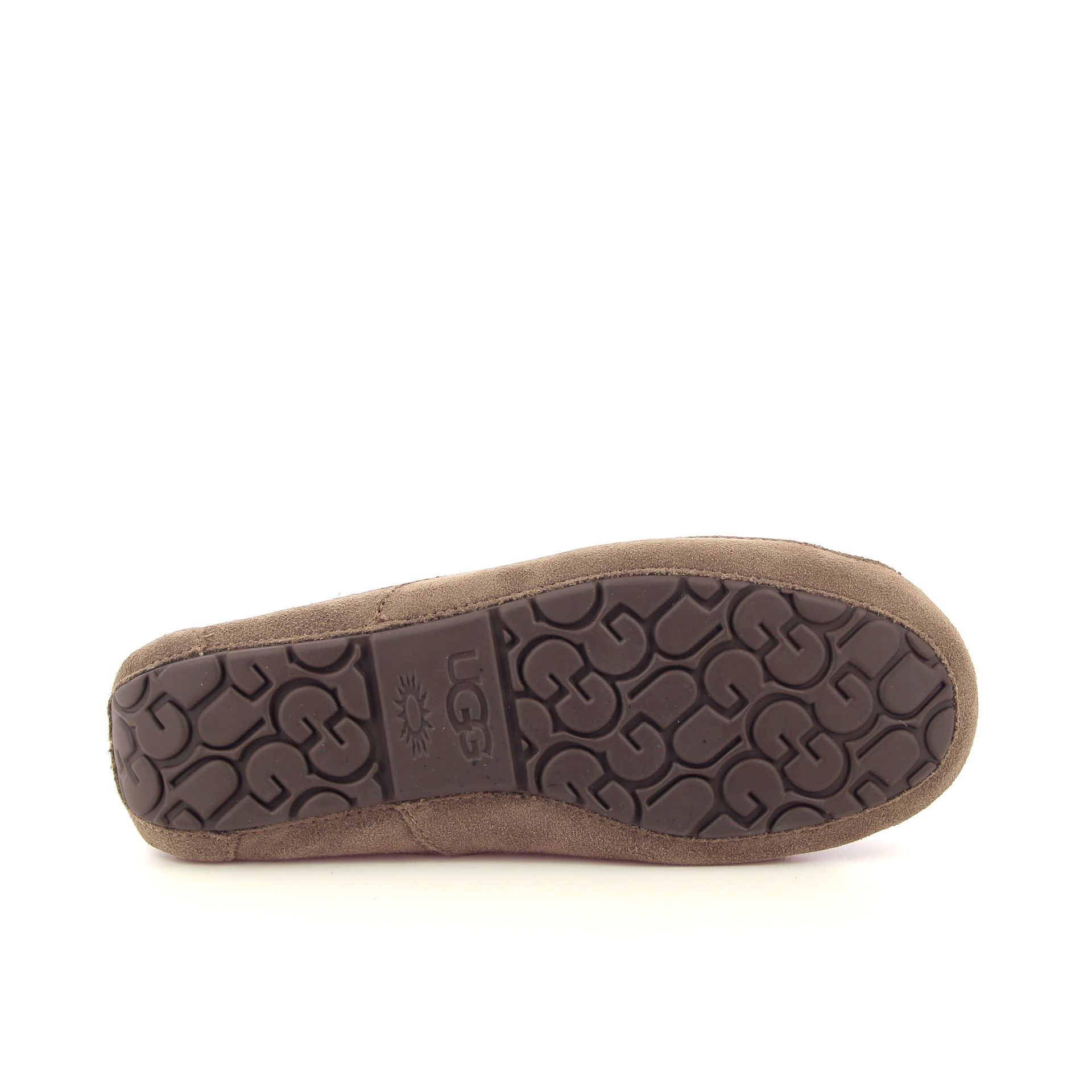 Ugg Ascot 265722 taupe