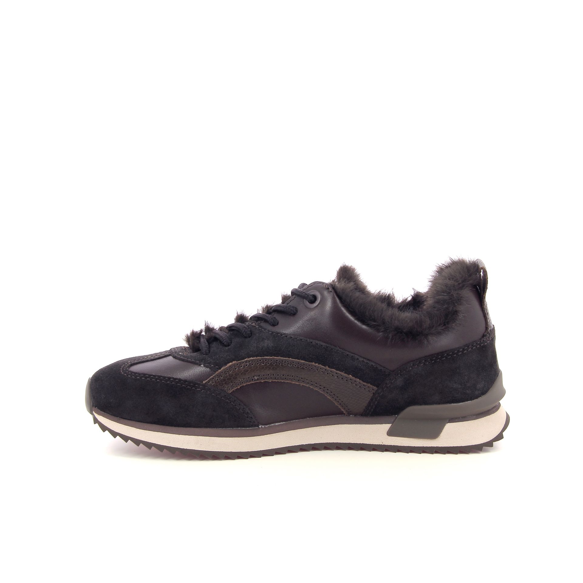 Gabor Sneaker 265790 bruin