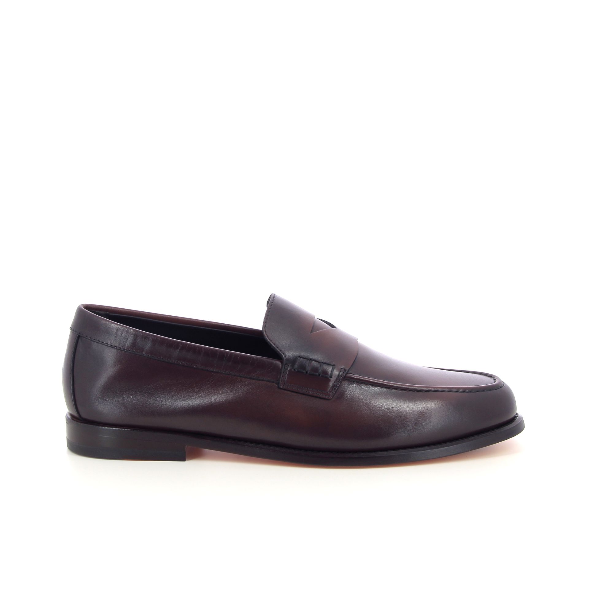 Doucal's Mario 265928 bruin
