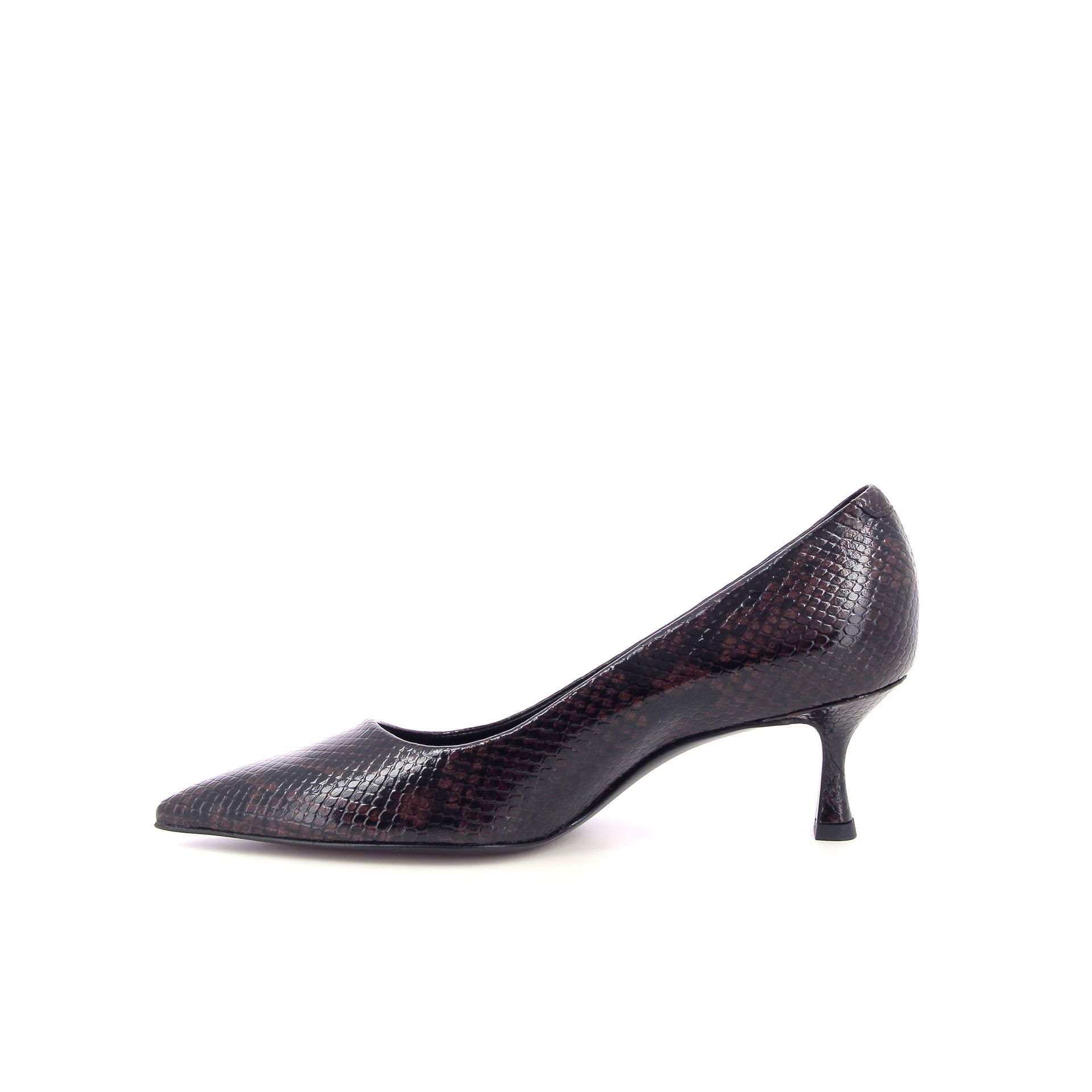 Guglielmo Rotta Alex 266200 bruin