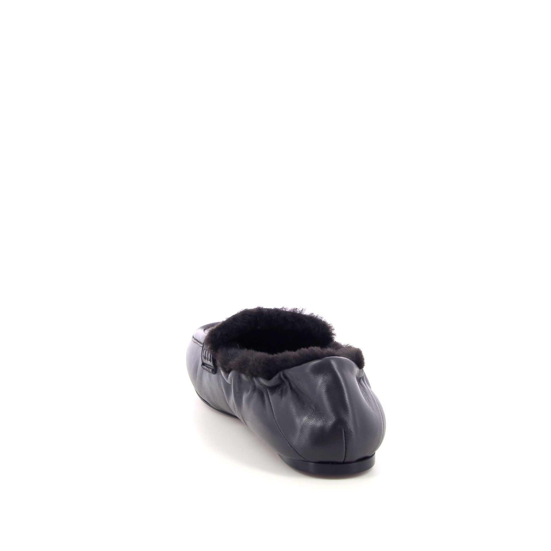 Guglielmo Rotta Sheldon 266212 bruin