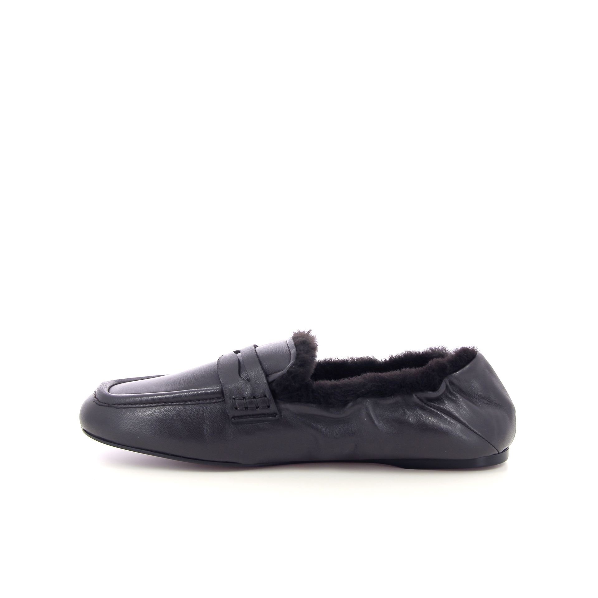 Guglielmo Rotta Sheldon 266212 bruin