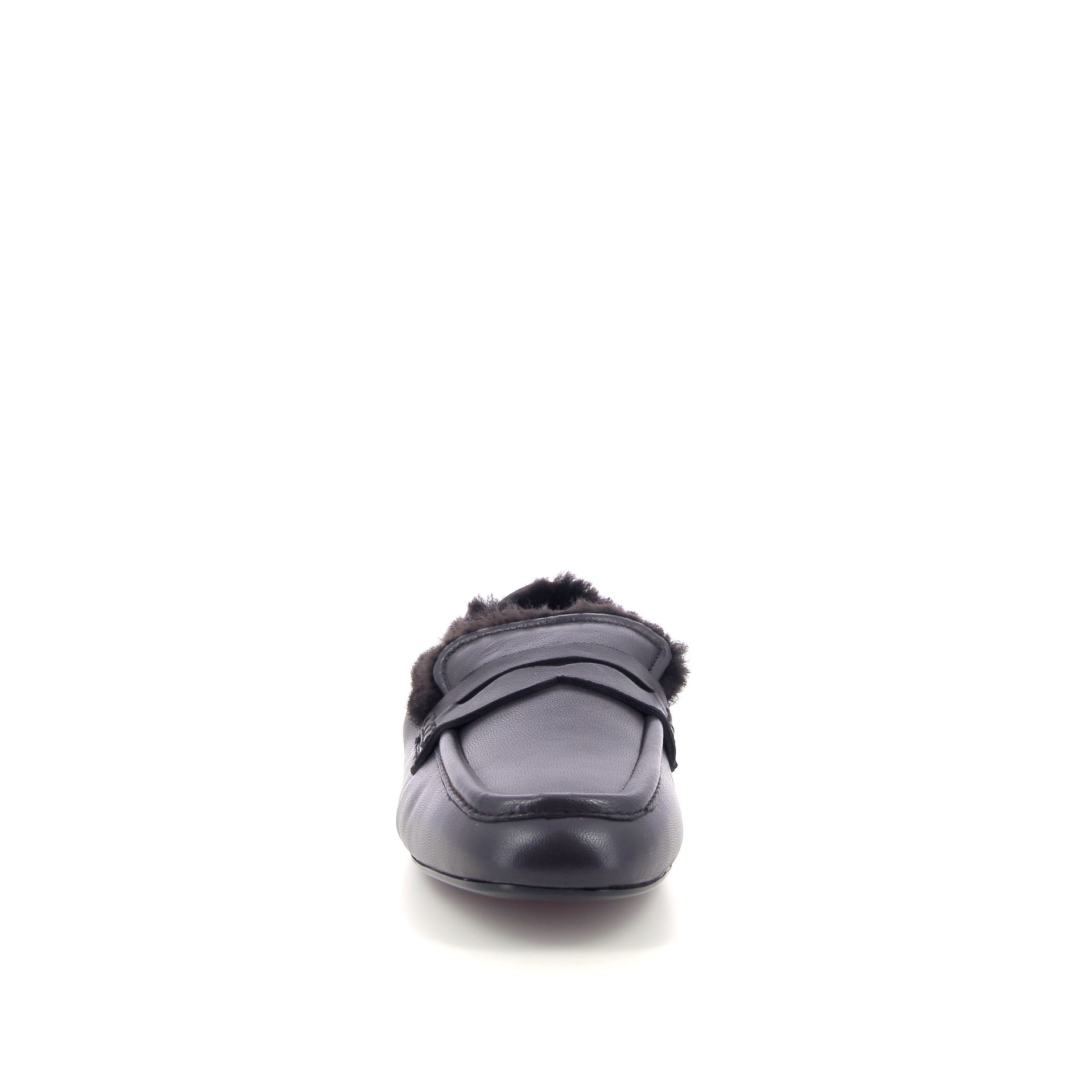 Guglielmo Rotta Sheldon 266212 bruin
