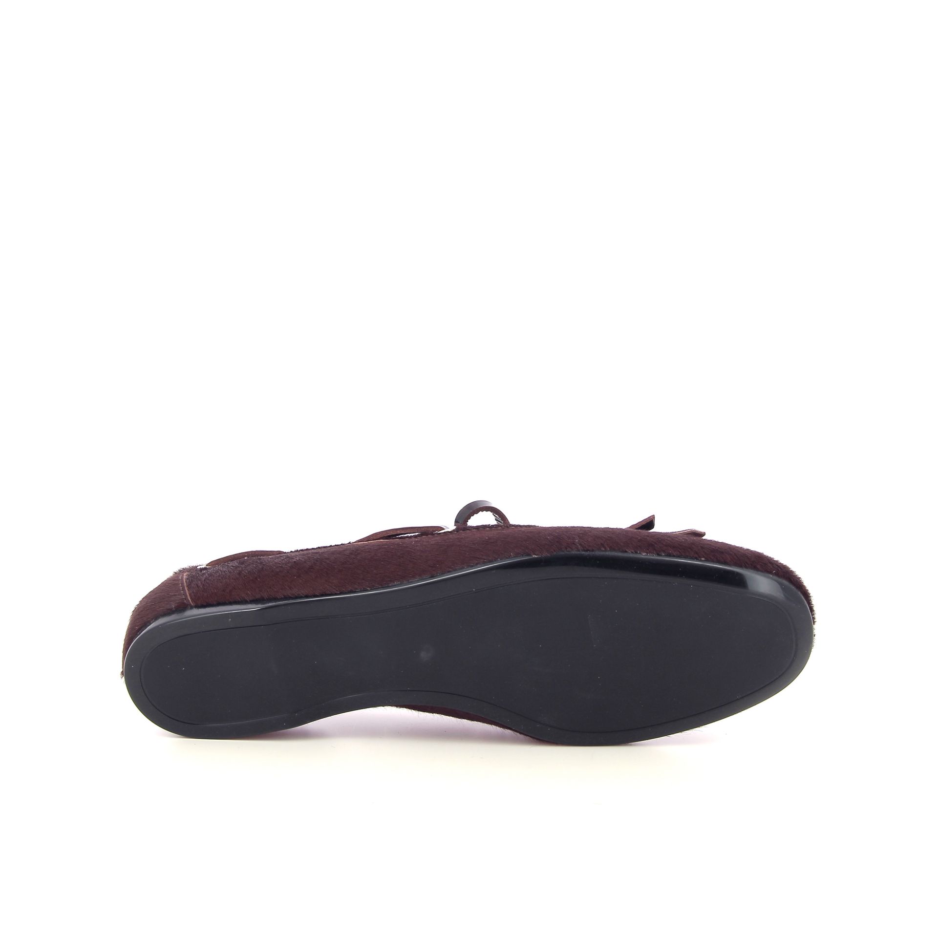 Guglielmo Rotta Santiago 266214 bruin