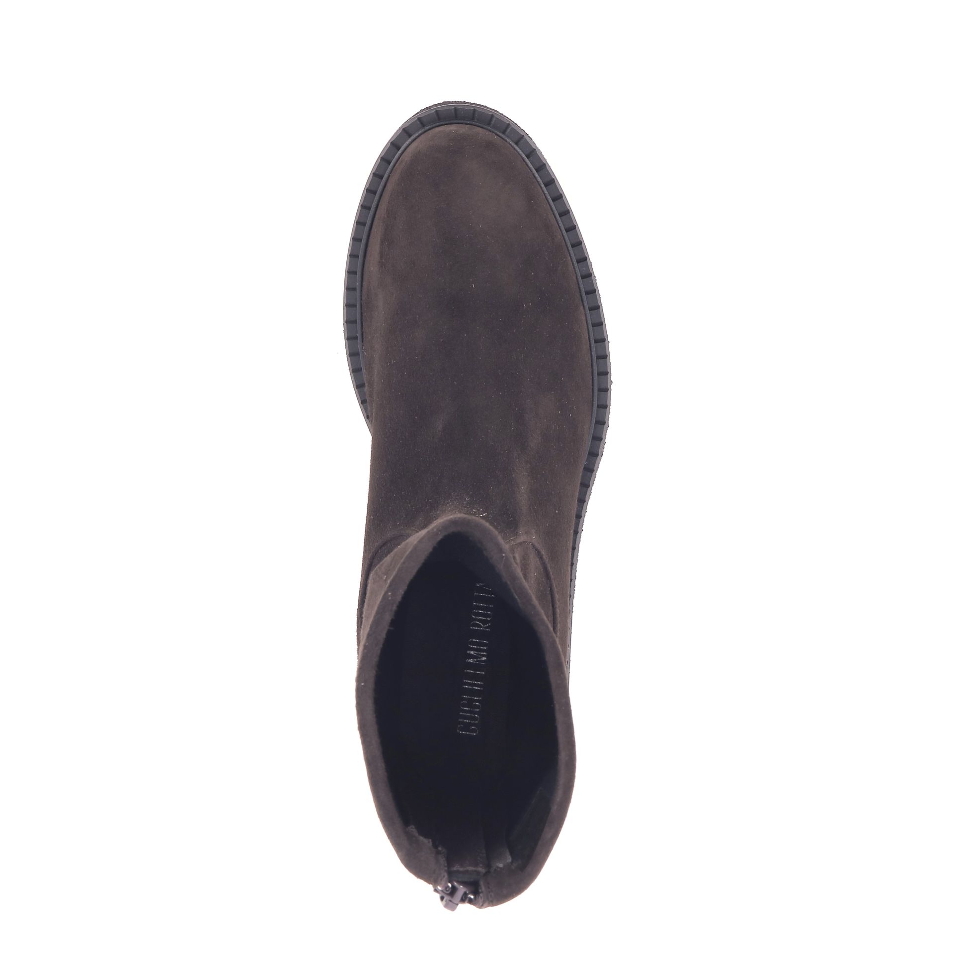 Guglielmo Rotta Krisalyn 266216 bruin