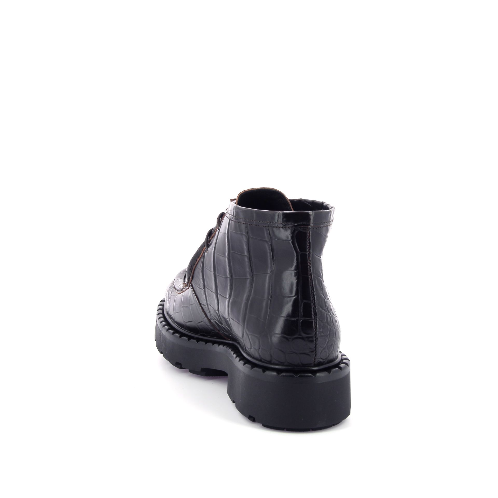 Guglielmo Rotta Webb 266220 bruin