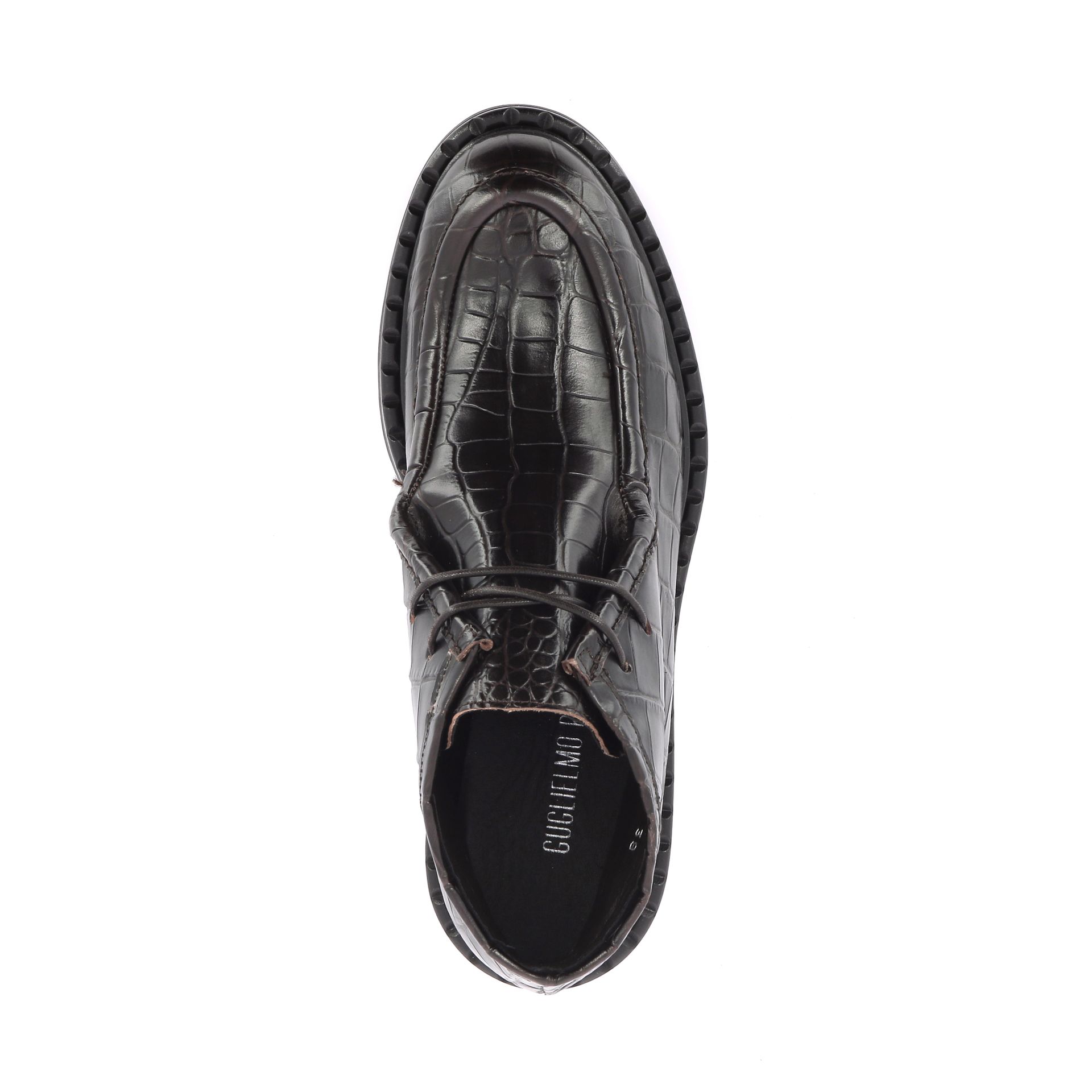 Guglielmo Rotta Webb 266220 bruin