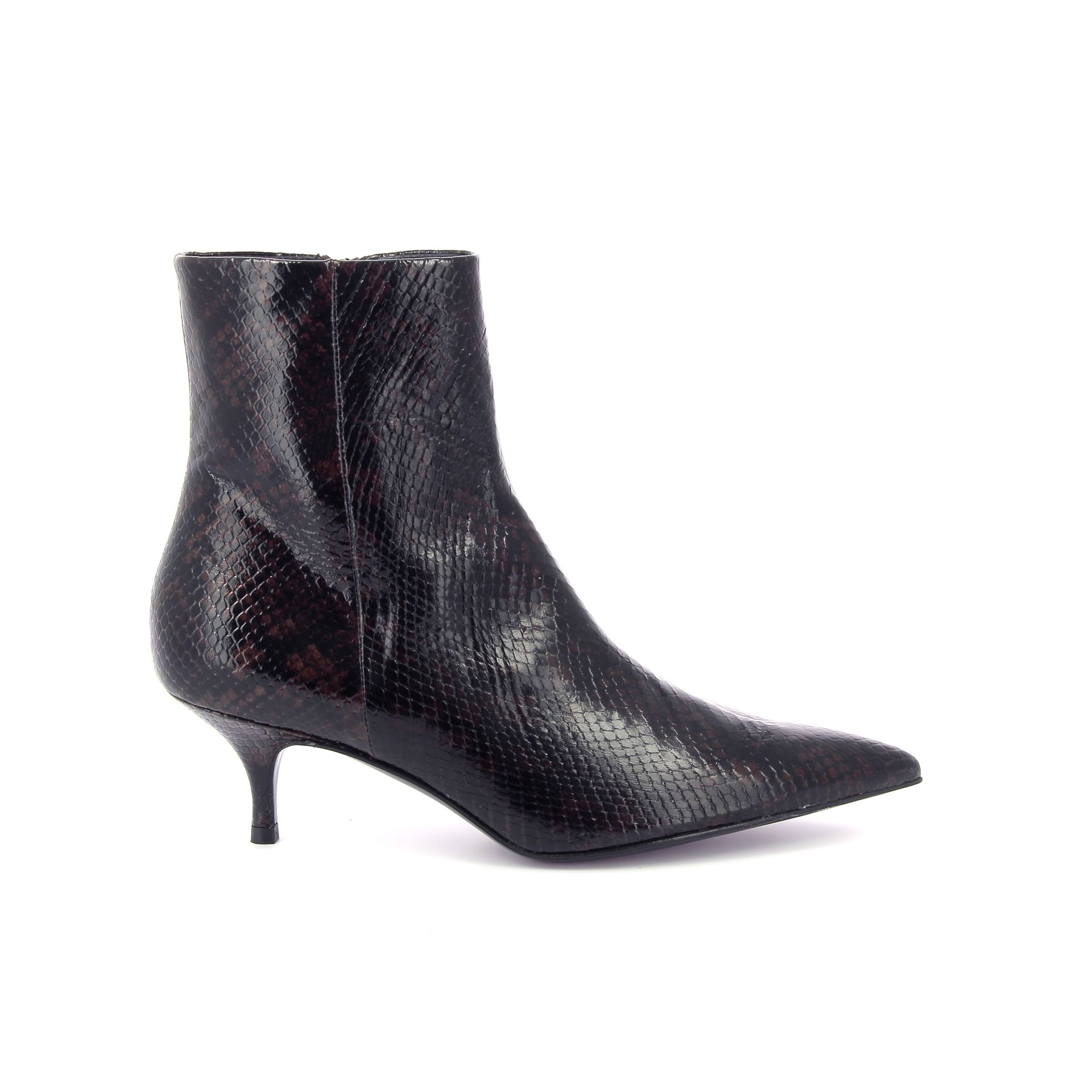 Guglielmo Rotta Ainsley 266229 bruin