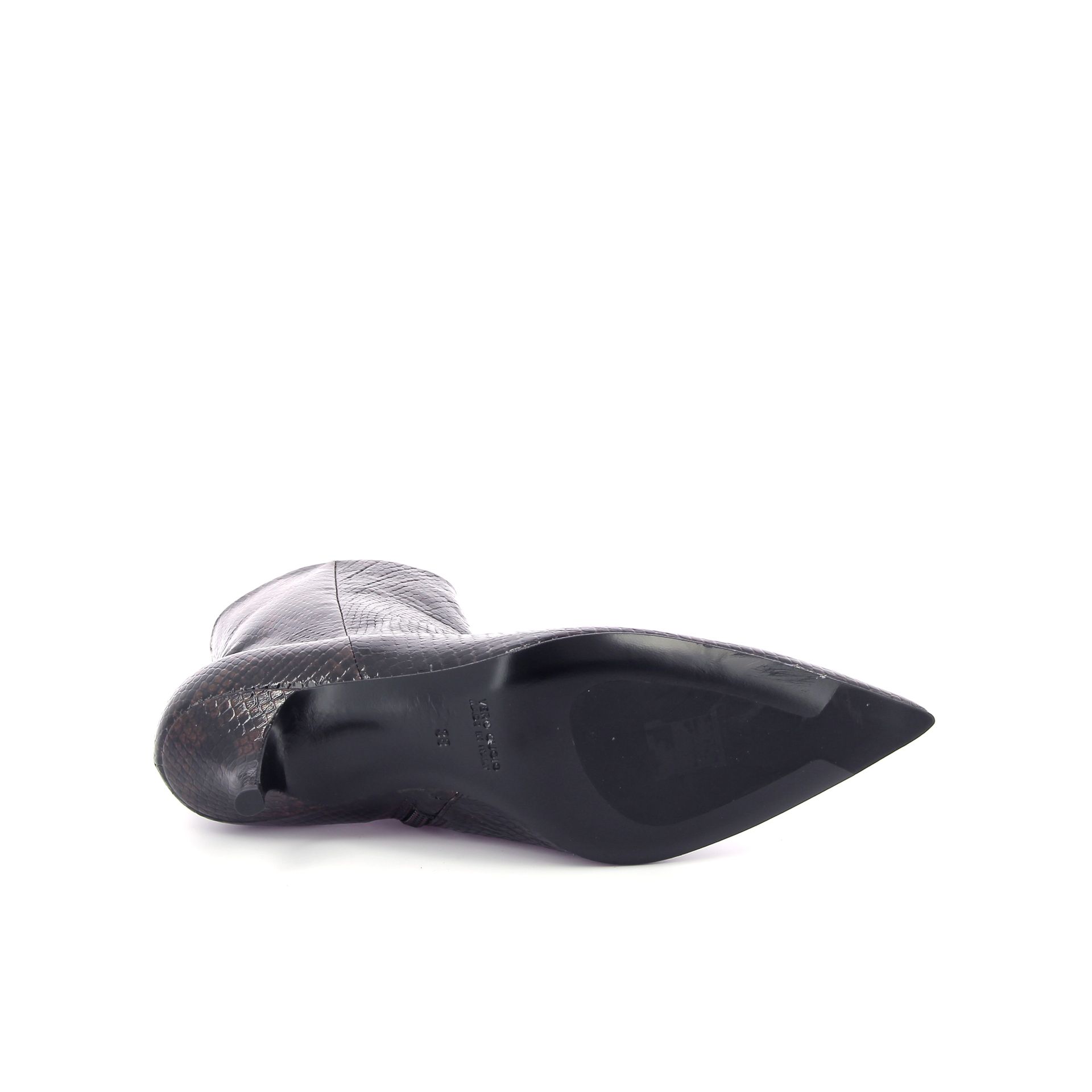 Guglielmo Rotta Ainsley 266229 bruin