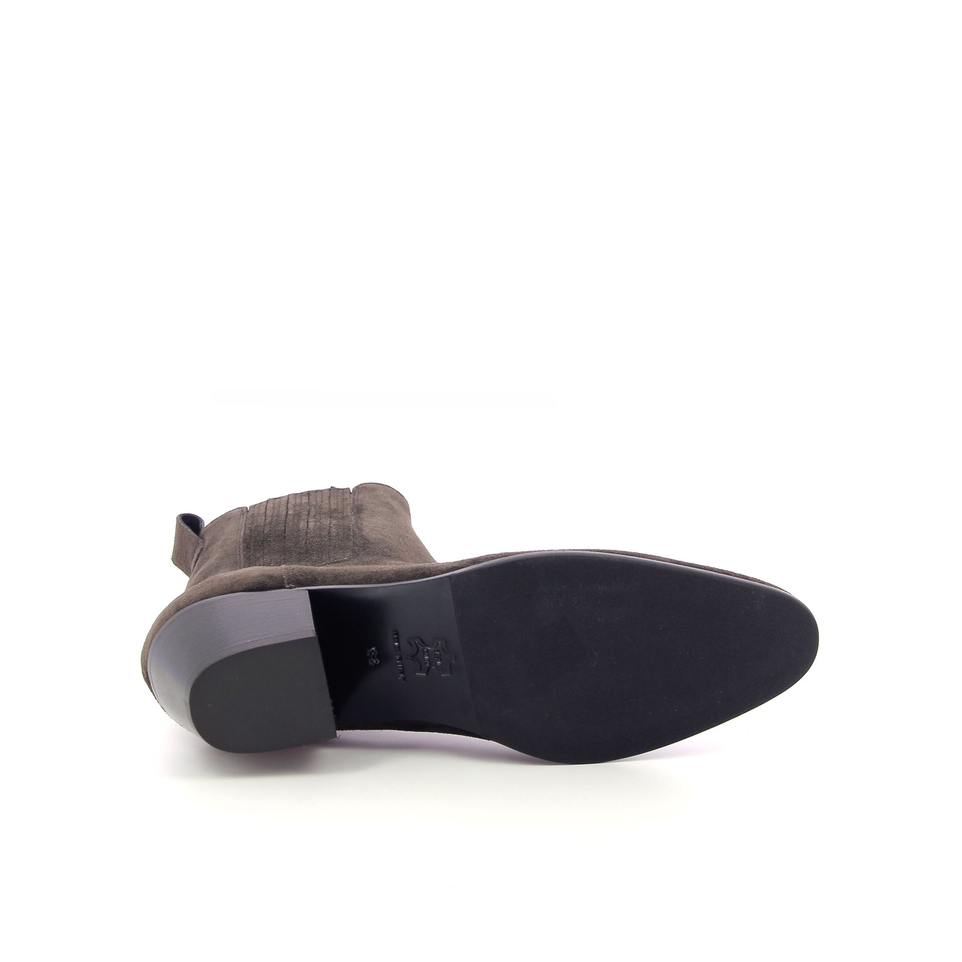 Guglielmo Rotta Cody 266231 bruin