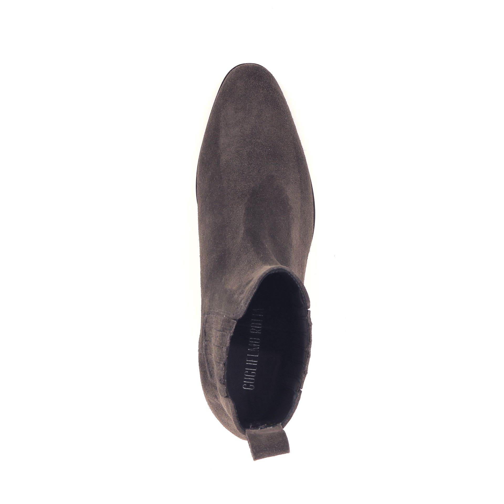 Guglielmo Rotta Cody 266231 bruin