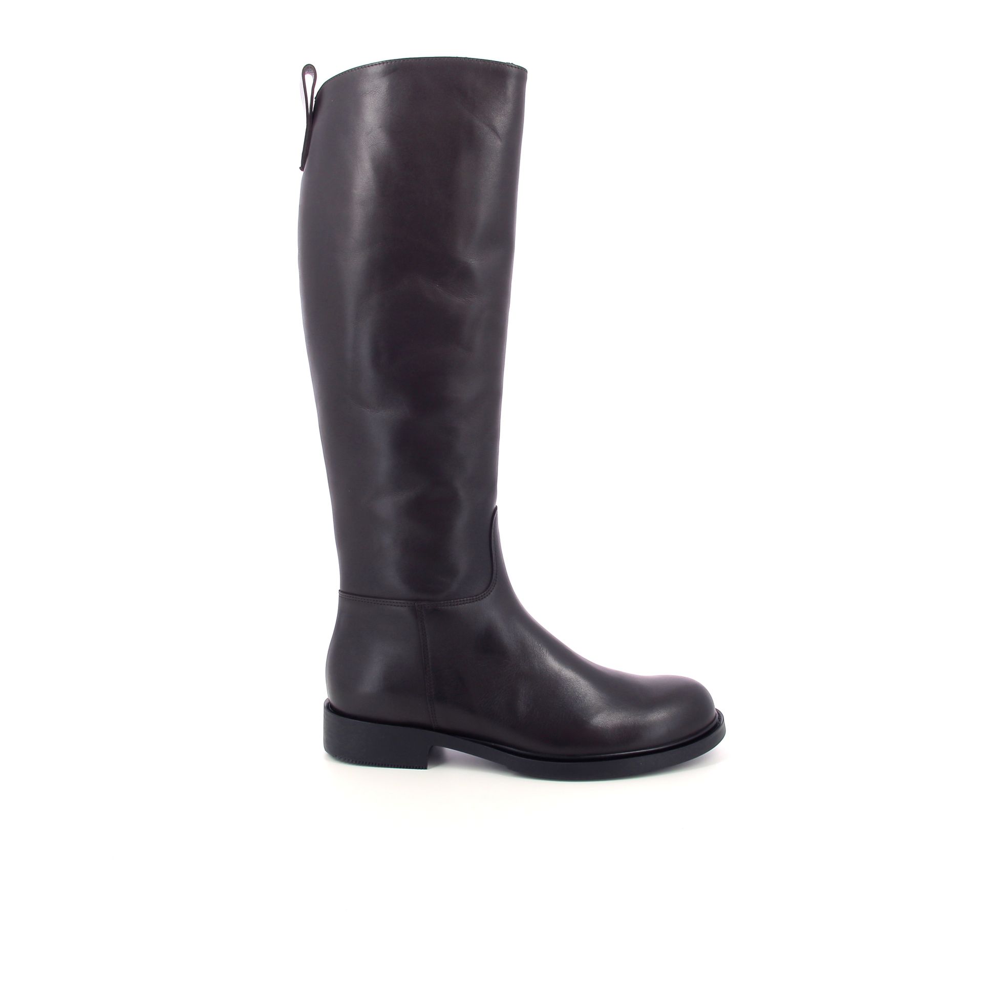 Guglielmo Rotta Pontus 266236 bruin