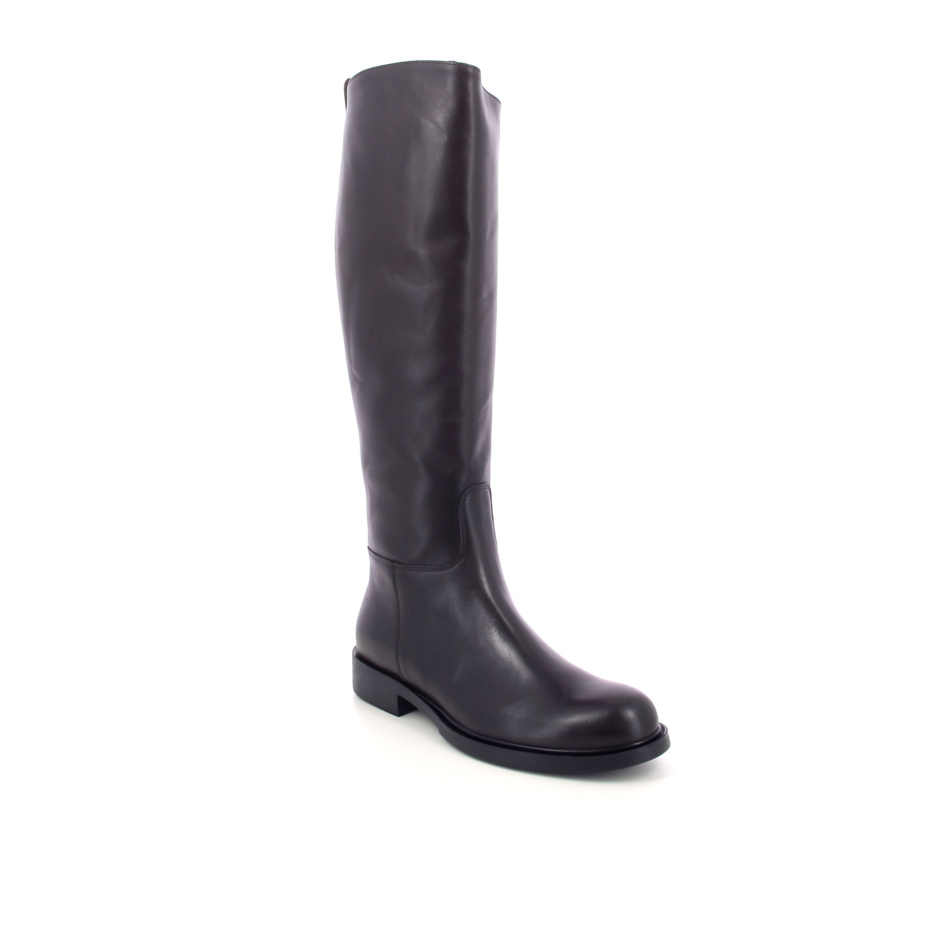 Guglielmo Rotta Pontus 266236 bruin