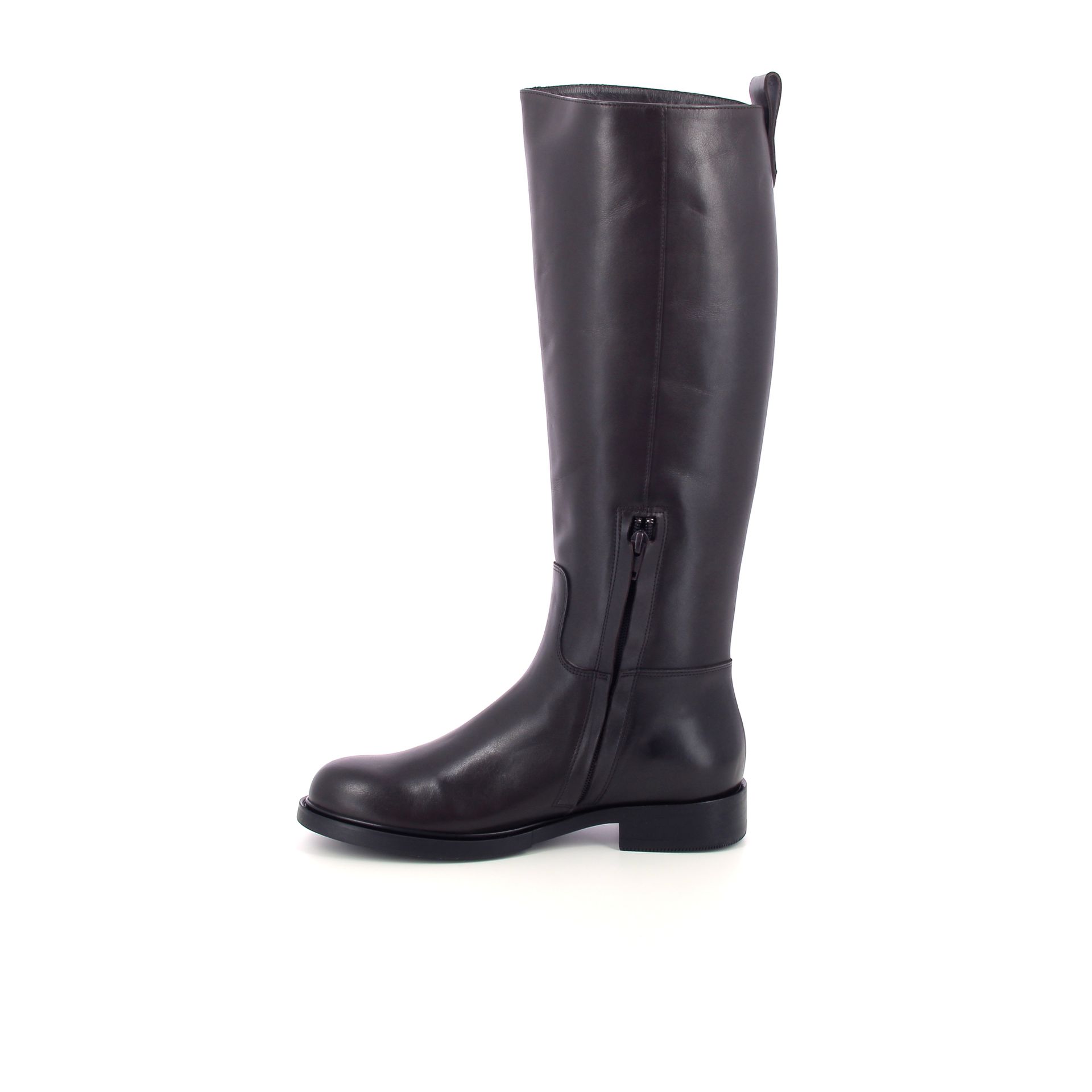 Guglielmo Rotta Pontus 266236 bruin