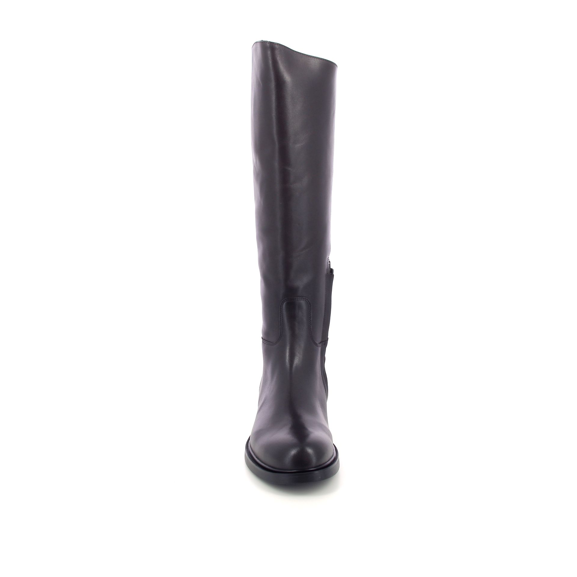 Guglielmo Rotta Pontus 266236 bruin