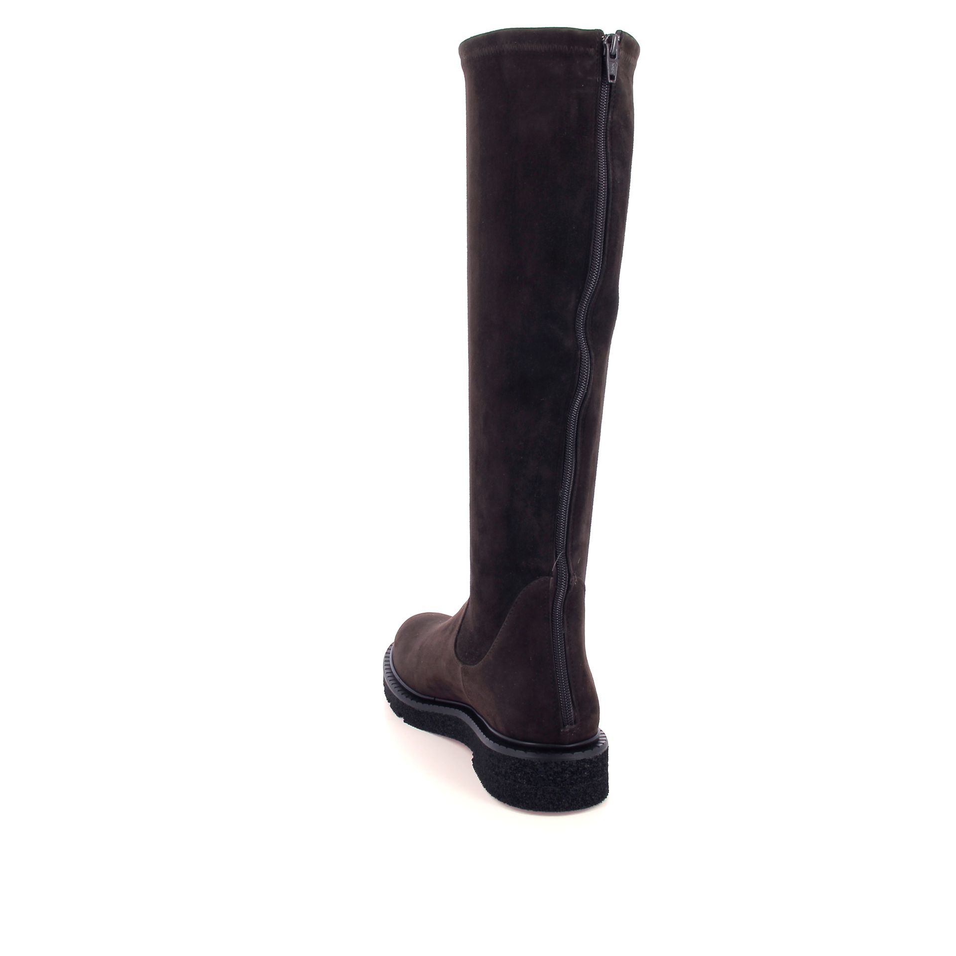 Guglielmo Rotta Kerr 266238 bruin