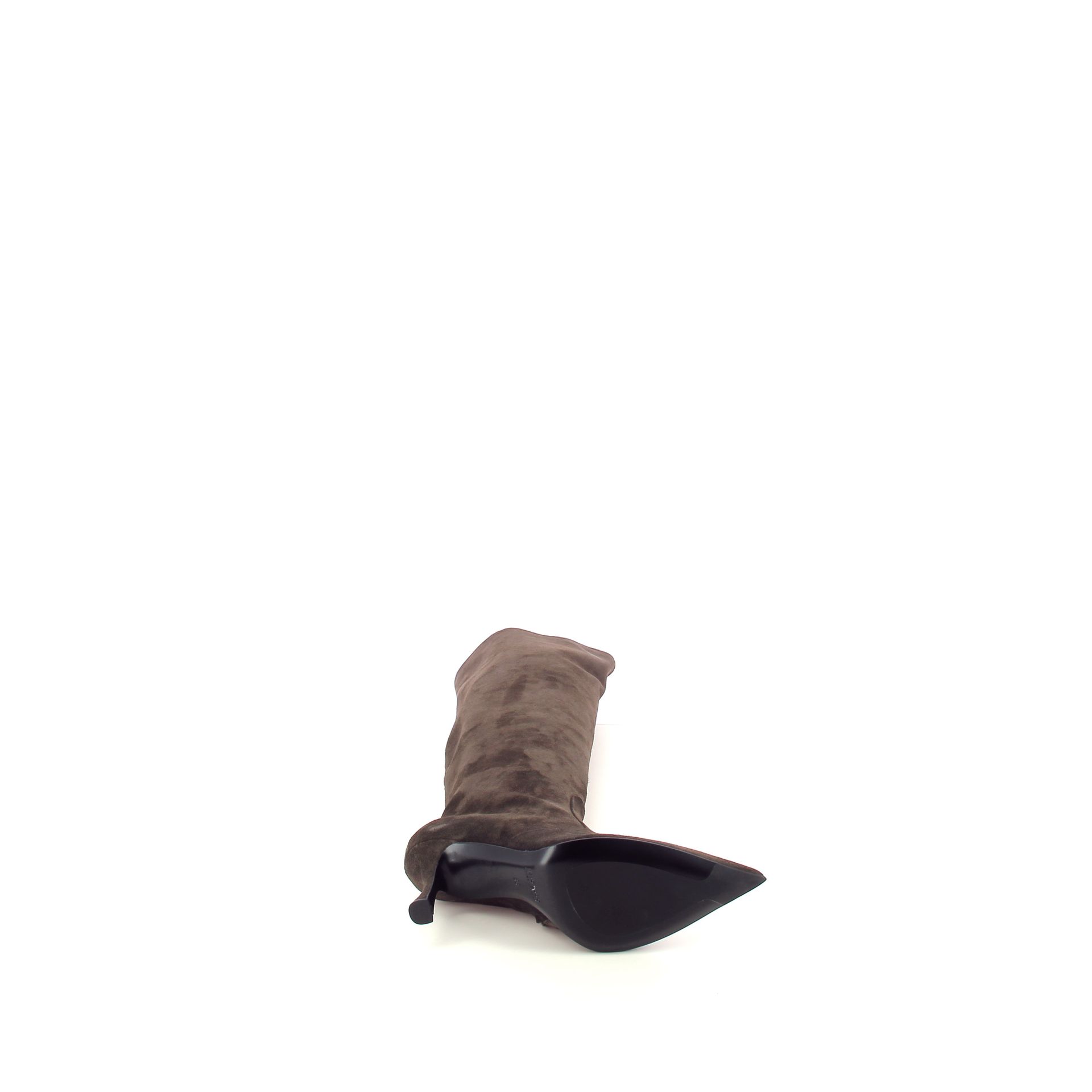 Guglielmo Rotta Abram 266243 bruin