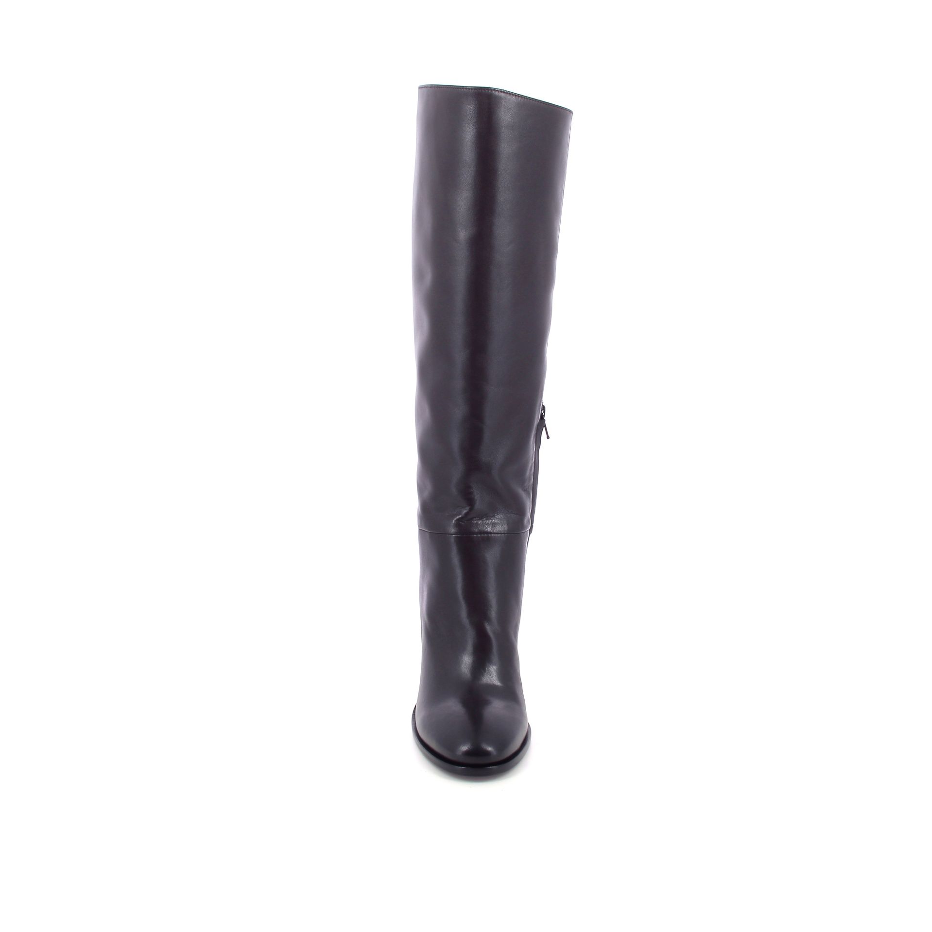 Guglielmo Rotta Mia 266244 bruin