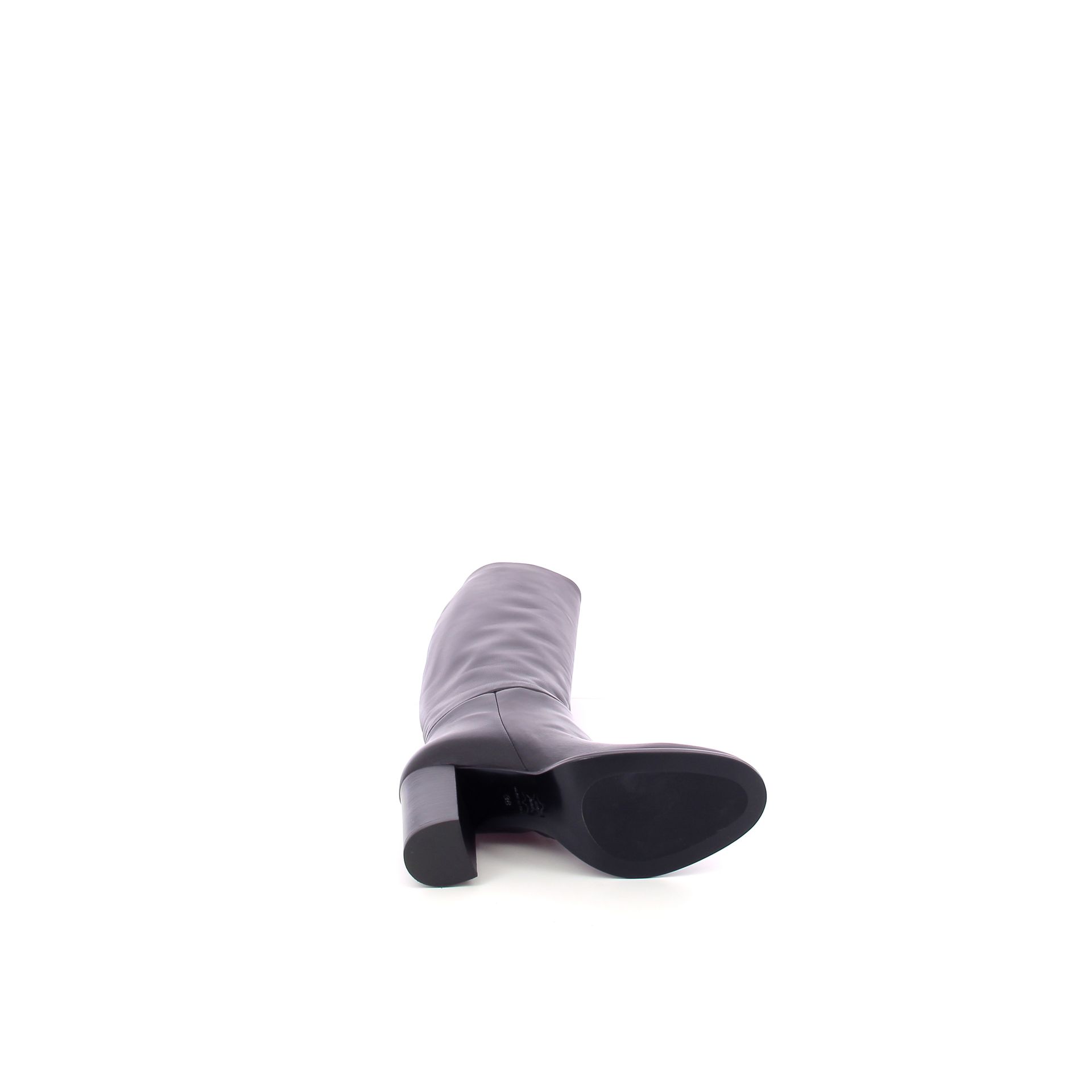 Guglielmo Rotta Mia 266244 bruin