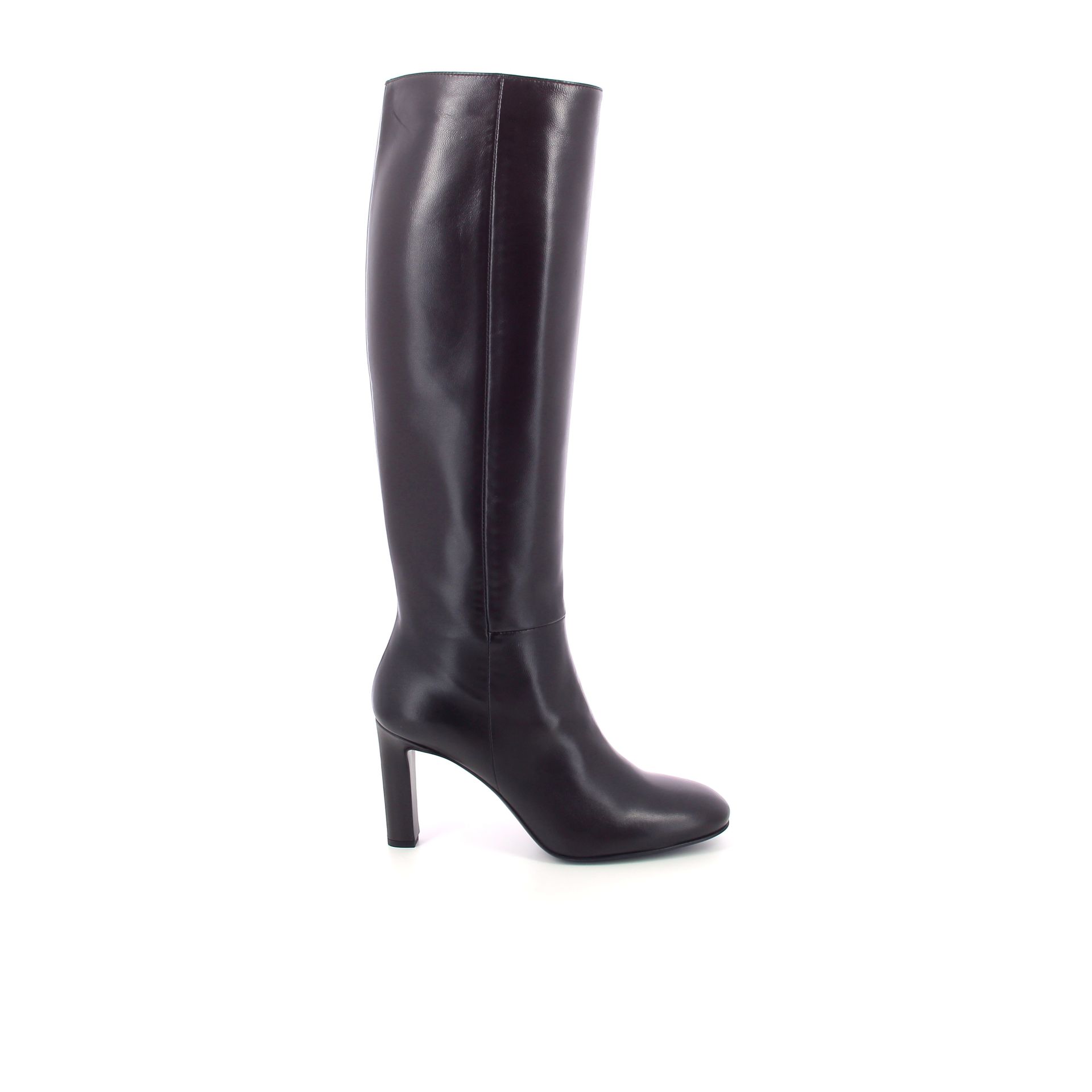 Guglielmo Rotta Shay 266248 bruin